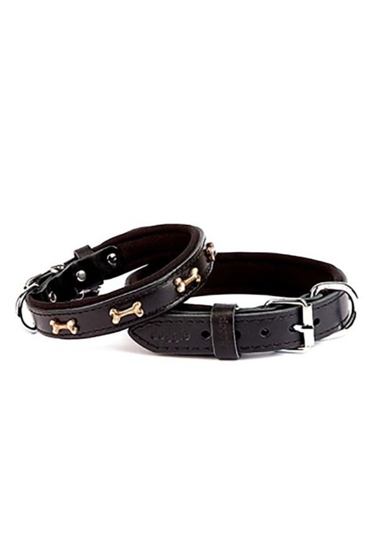 Doggie Comfort Deri Kemik Süslü Köpek Boyun Tasması Medium Siyah 2x35-40 Cm