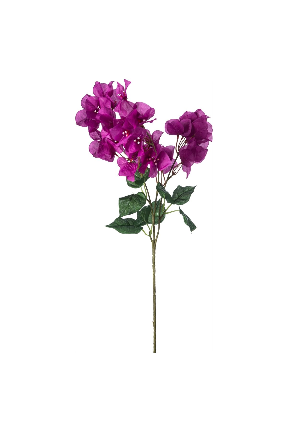 Mudo Concept Begonvil Pembe Dal Çiçek 74cm