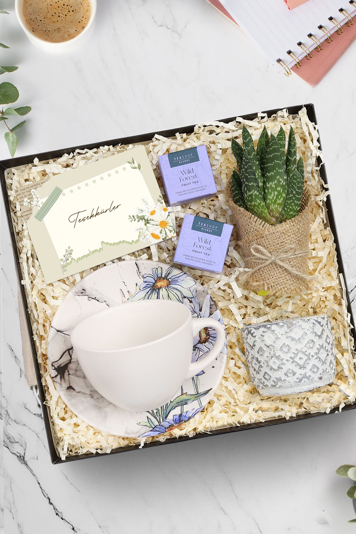 Trendmiya Beyaz Çay ve Kahve Fincanı & Teashop 2'li Bitki Çayı & Canlı Sukulent Çiçek & Saksı Hediye Seti