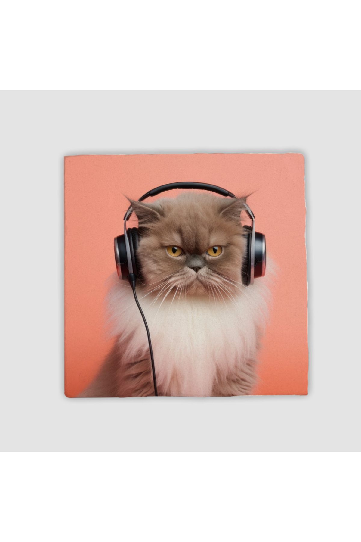 MoonArtica Müzik Tutkunu Kedi Tasarımlı 4lü Taş Bardak Altlığı