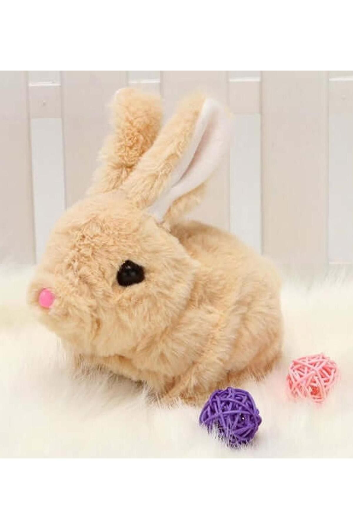 Sole Yürüyen, Sesli Hareketli Sevimli Peluş Bunny Tavşan - Sweet Bunny