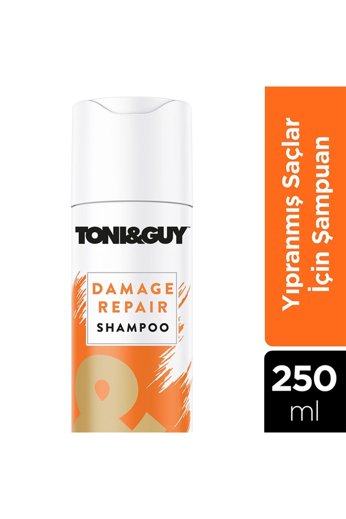 Toni Guy Damaged Repair Intensive Repair Shampoo for Damaged Hair and Split Ends 250ml N.Beauty92