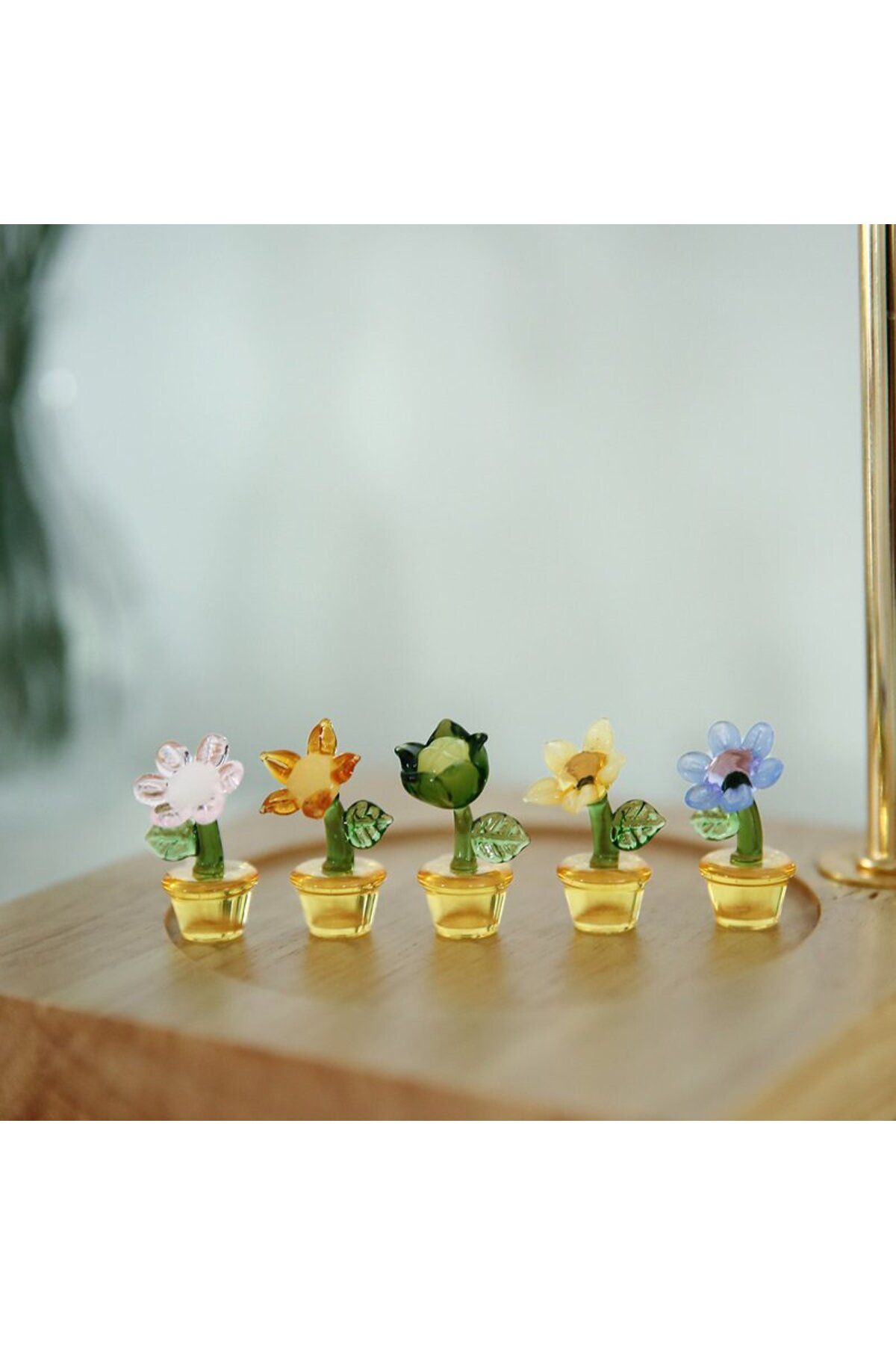 Miniminti 5li Cam Mini Çiçek Seti