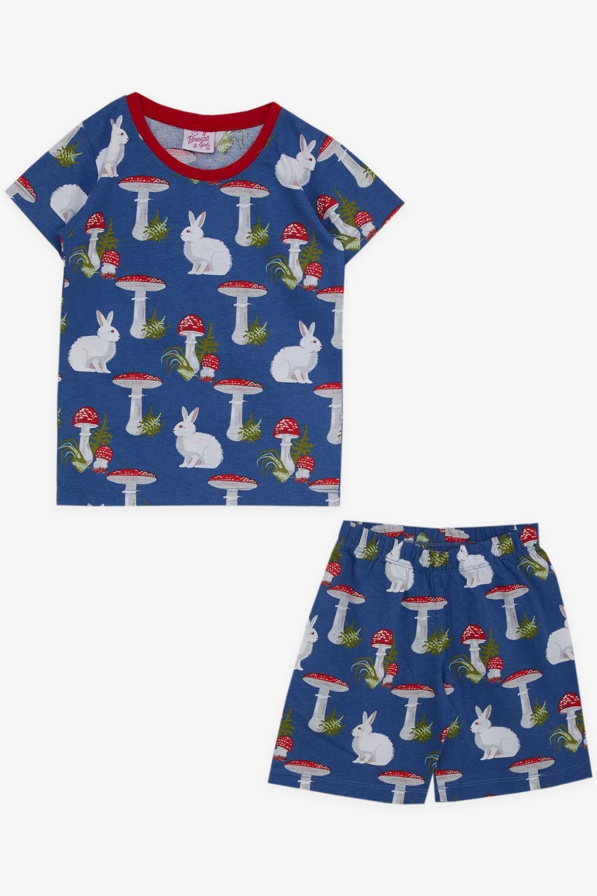 Breeze Kız Bebek Pijama Takımı Doğa Temalı Tavşancık Desenli 9 Ay-3 Yaş, Mavi