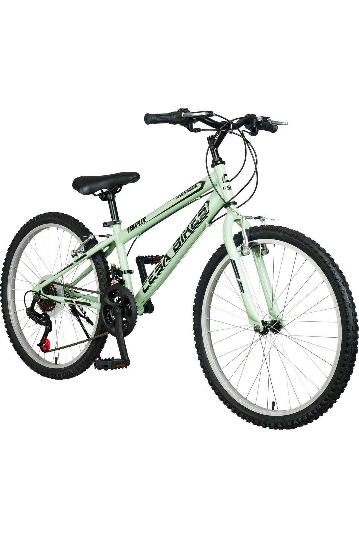Cesa Bisiklet 24 Jant Bisiklet, 21 Vites Erkek Dağ Bisikleti pastel-Yeşil Unisex