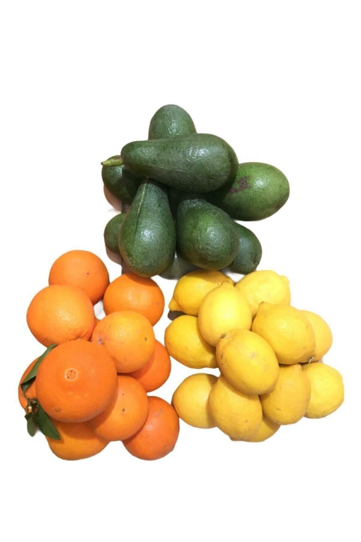Elit Avokado(1kg) ,portakal (2kg), Limon (2kg) Taptaze Lezzetler
