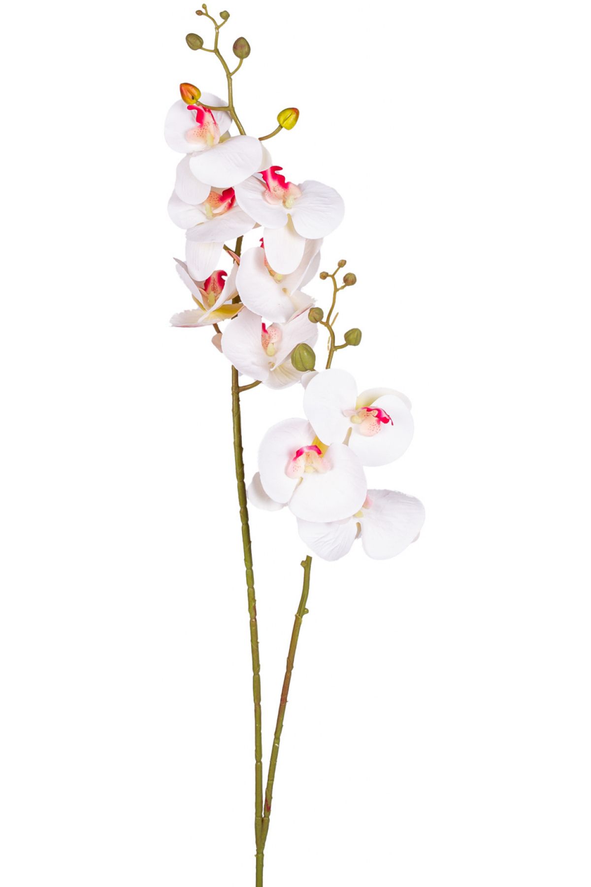 Herdekora Yapay Orkide Çift Dallı Beyaz /Pembe 92 Cm.