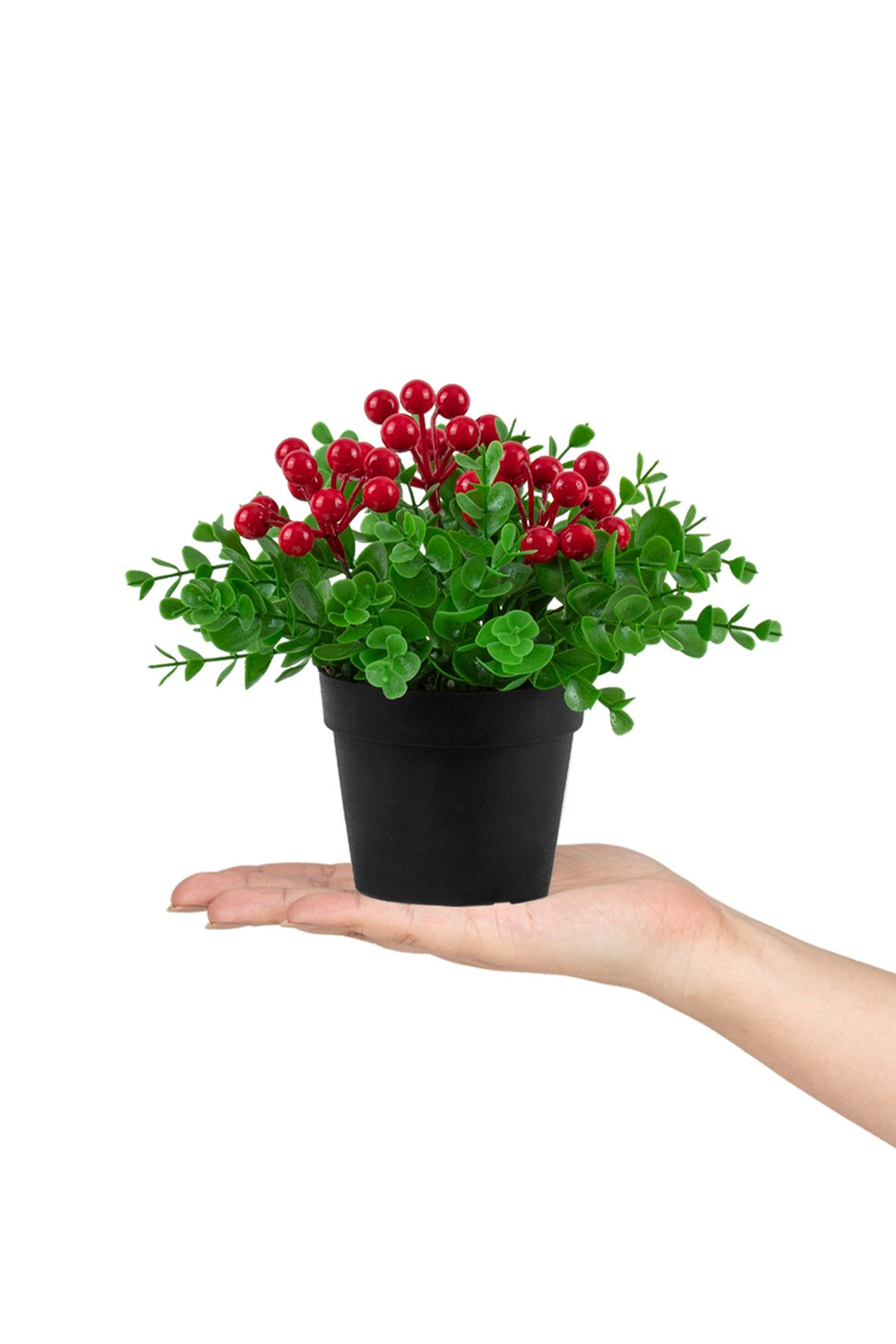 Çiçekmisin Siyah Mini Plastik Saksıda Yapay Kokina Çiçeği