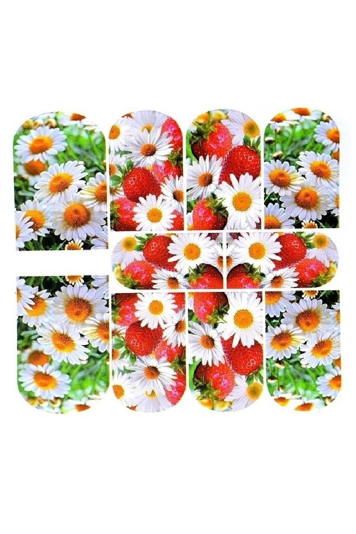 Market66 Tırnak Sticker Papatya Çiçek Süsleme Dövmesi Çoklu Etiket 8x7cm