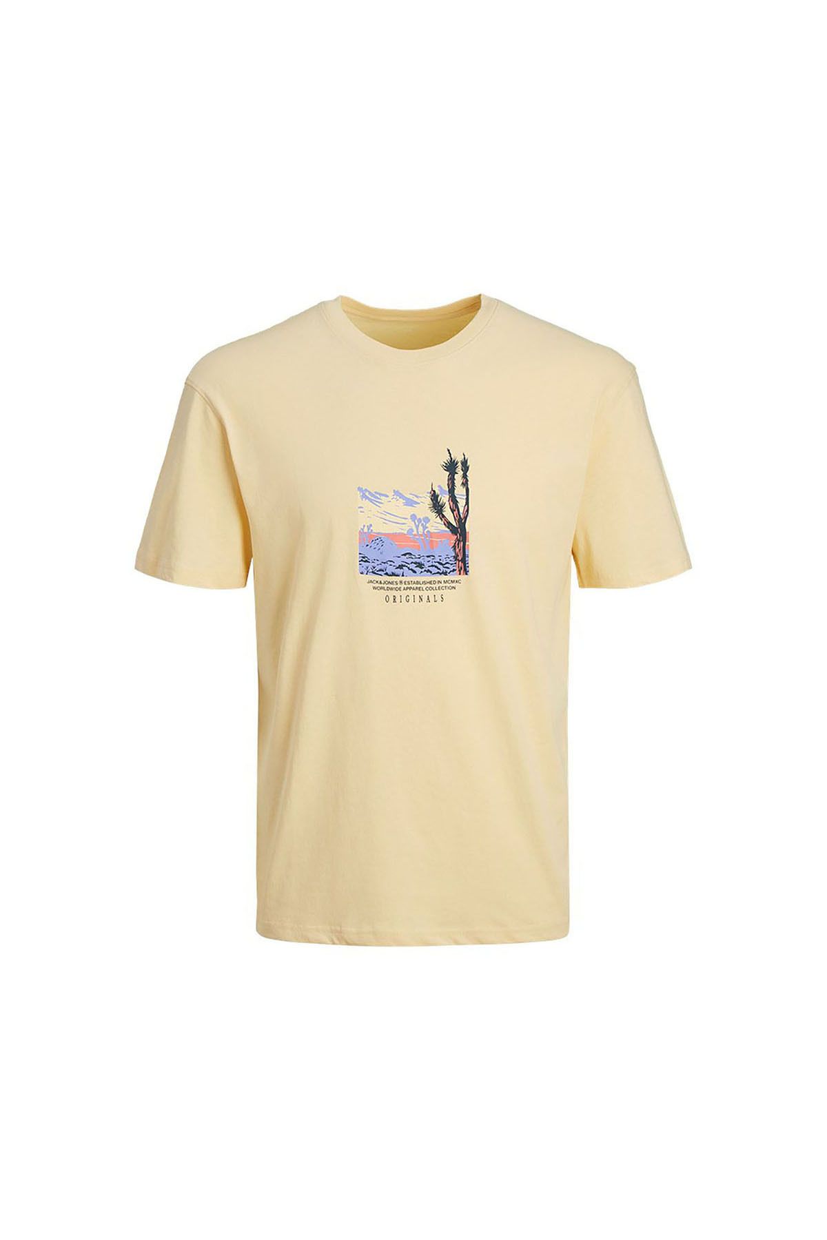 Jack & Jones Erkek T-Shirt 12253613