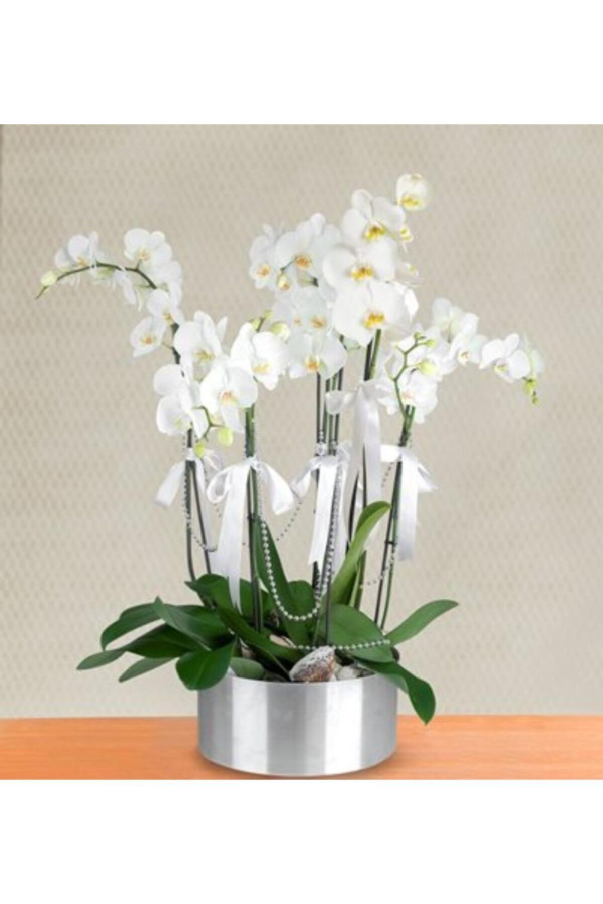 ata tohumculuk Nadir Bulunan Beyaz Orkide Çiçeği Tohumu 10 Adet
