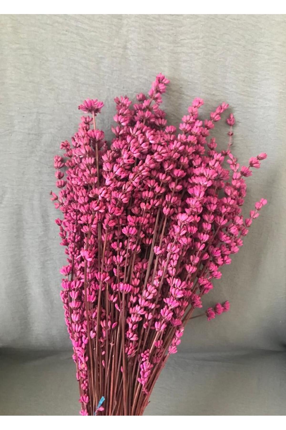 EFİRAZ Şoklanmış Dökülmeyen Gerçek Pembe Lavanta Süslük Vazoluk Aranjman Çiçeği