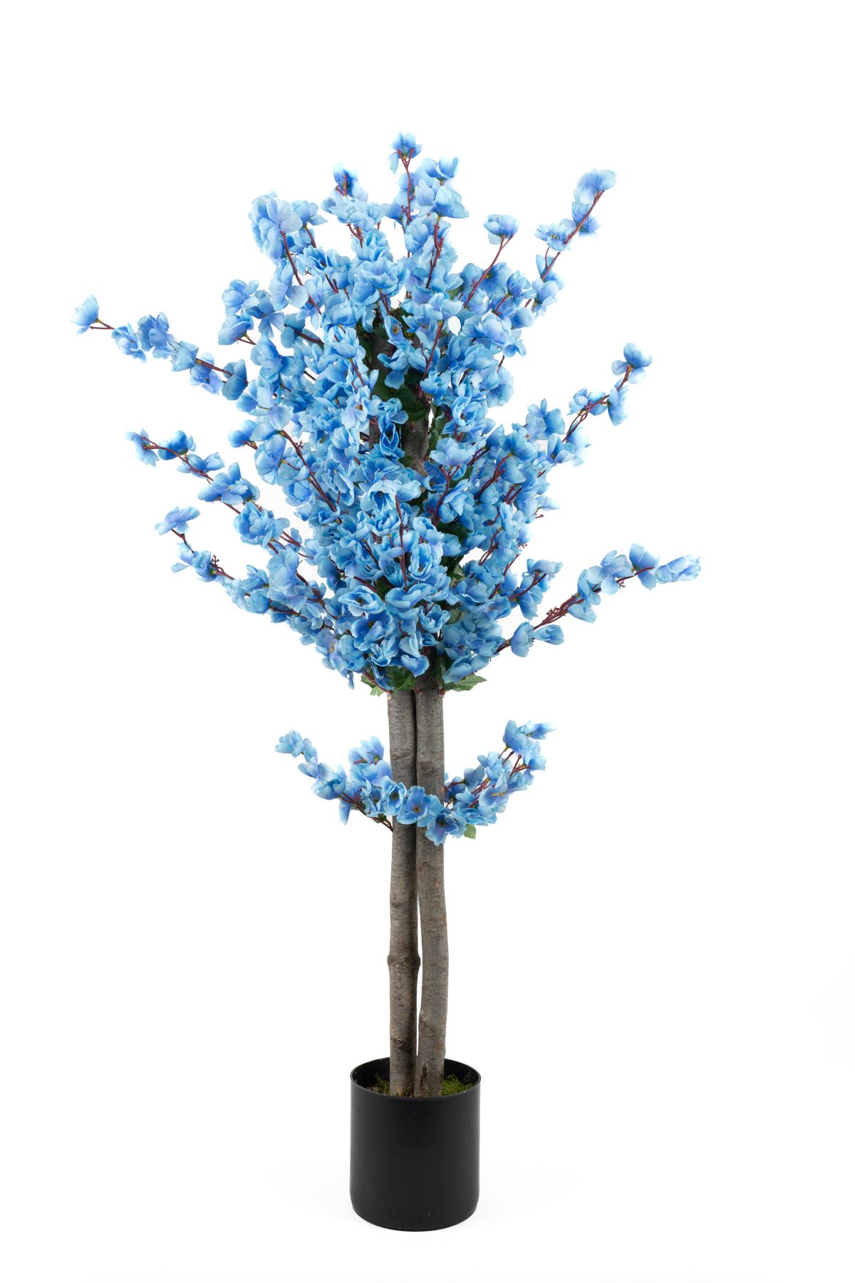 YAPAY ÇİÇEKÇİNİZ Siyah Saksıda Mavi Renkli 120 cm Japon Bahardalı Ağacı