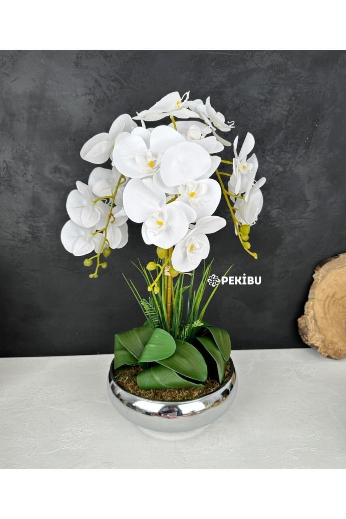 PEKİBU Gümüş Ufo Saksıda 3 Dal Islak Orkide Aranjmanı