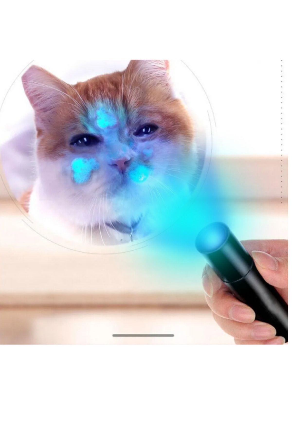 Guassi ultraviyole kedi köpek mantar idrar gösteren uv ışıklı büyük boy el feneri