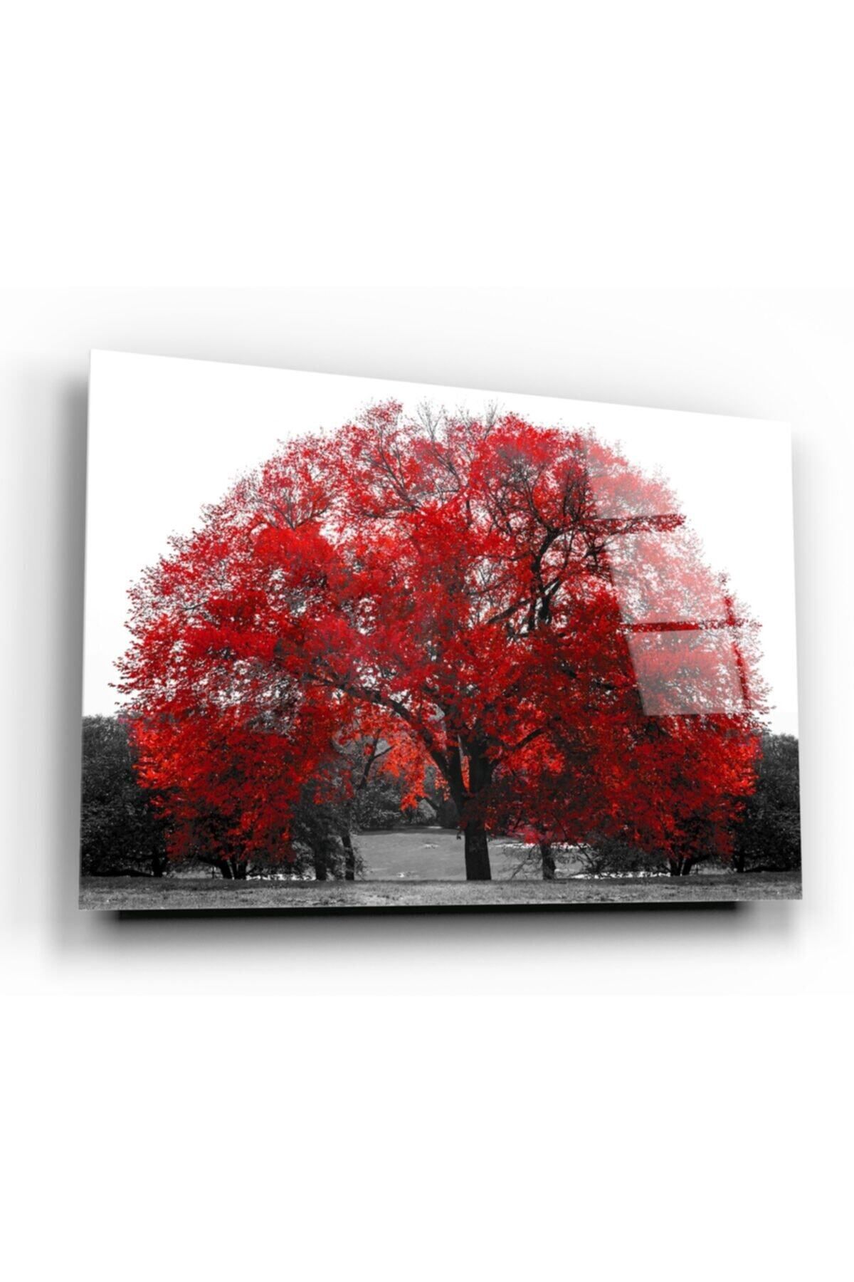 Pi Dekorasyon Hediyelik,dekoratif- Kırmızı Ağaç Cam Tablo