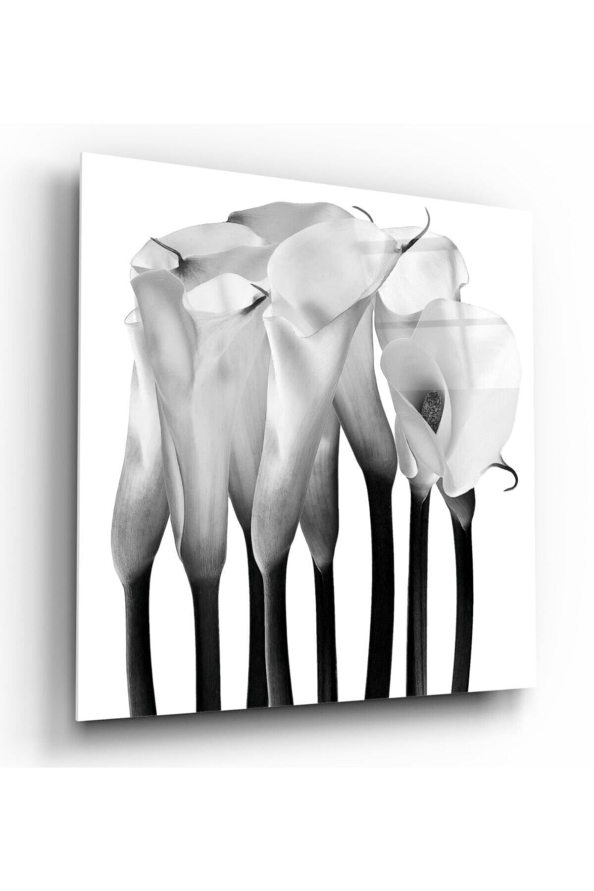 Pi Dekorasyon Hediyelik,dekoratif- Çiçekler Cam Tablo