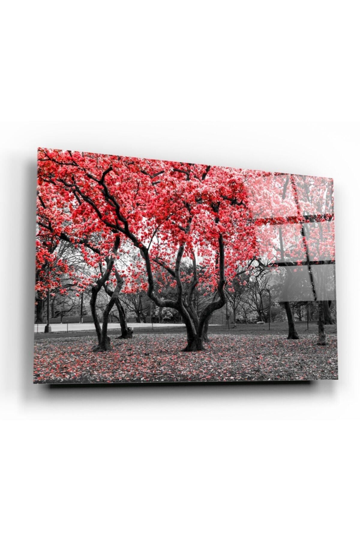 Pi Dekorasyon Hediyelik,dekoratif- Kırmızı Orman Cam Tablo