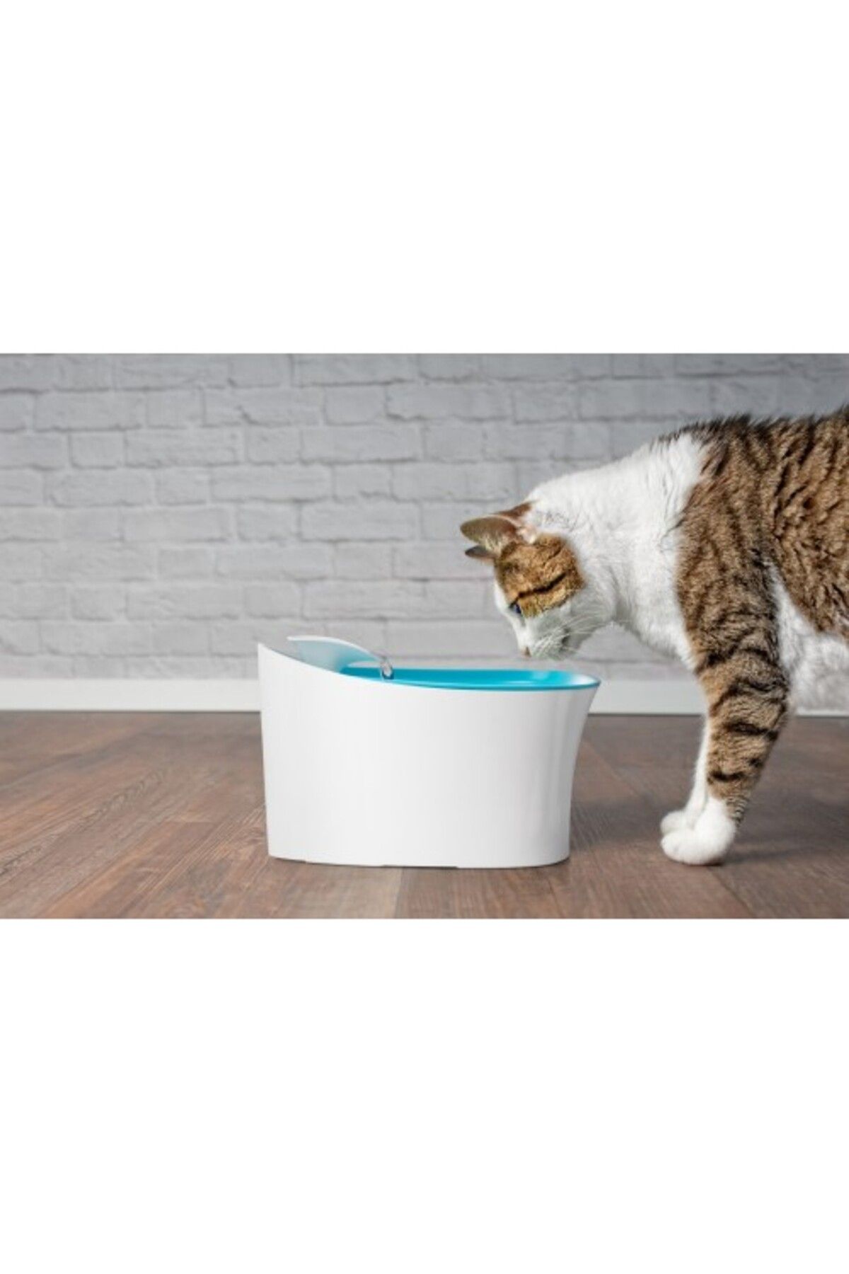 İREM Otomatik Uyarılı Kedi Köpek Su Kabı