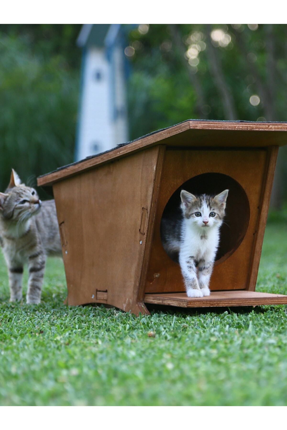 MANDU Ahşap Mini Kedi Evi (yeni Doğan Evi)
