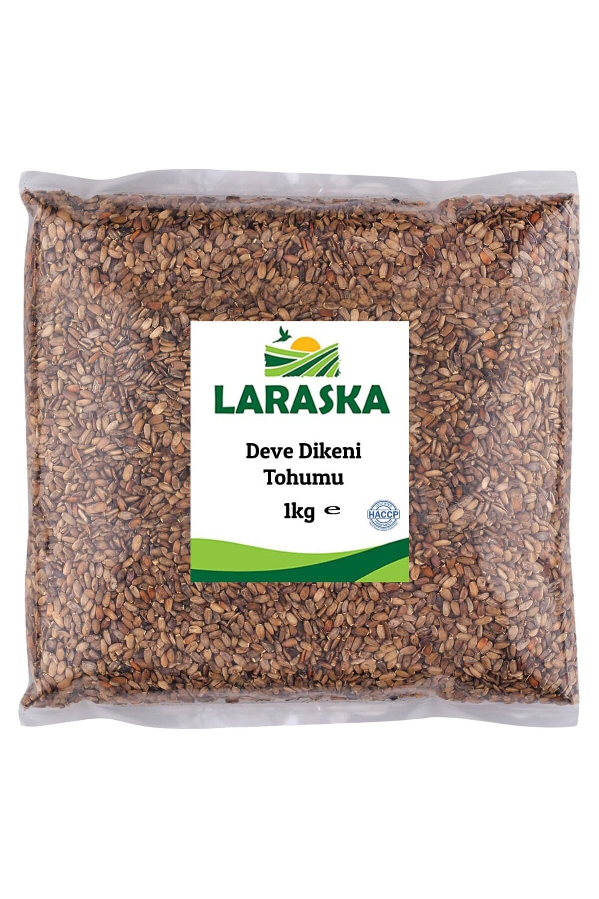 Laraska Deve Dikeni Tohumu 1 Kg - Milk Thistle Seeds 1kg