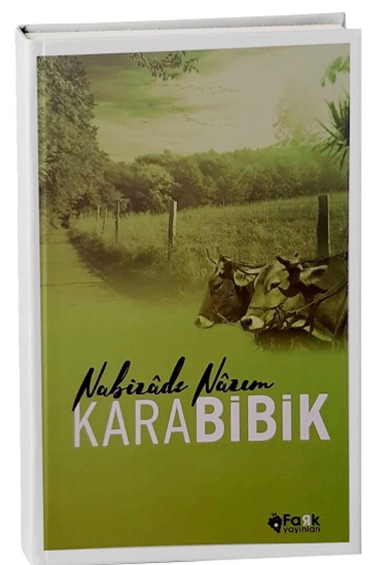 Fark Yayınları Karabibik