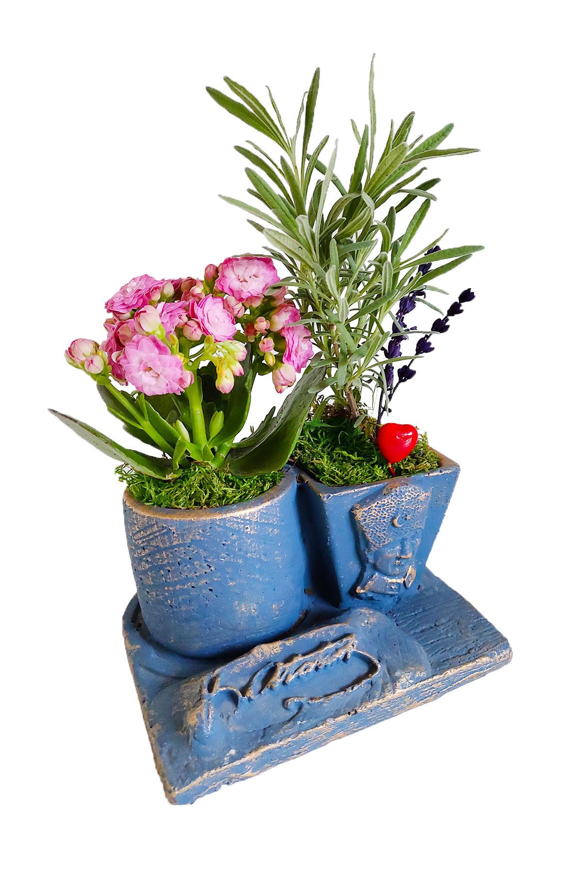 çiçekseli Canlı Lavanta Ve Kalanchoe Çiçekli Bitki Atatürk İmzası Beton Saksıda & Büst Saksı & Hediye Çiçek