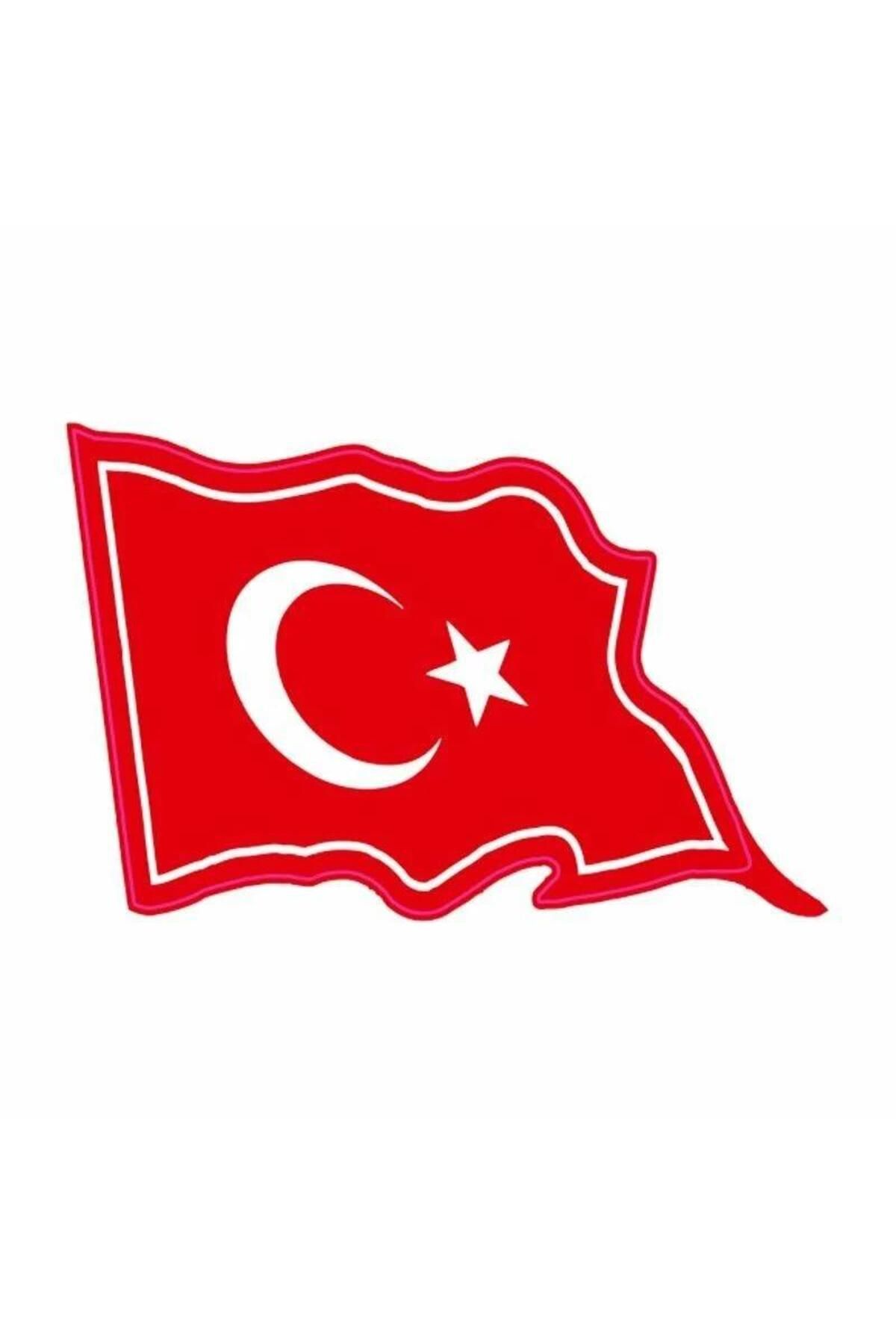 Gogo Türk Bayrağı Desenli Sticker 100 x 65 mm