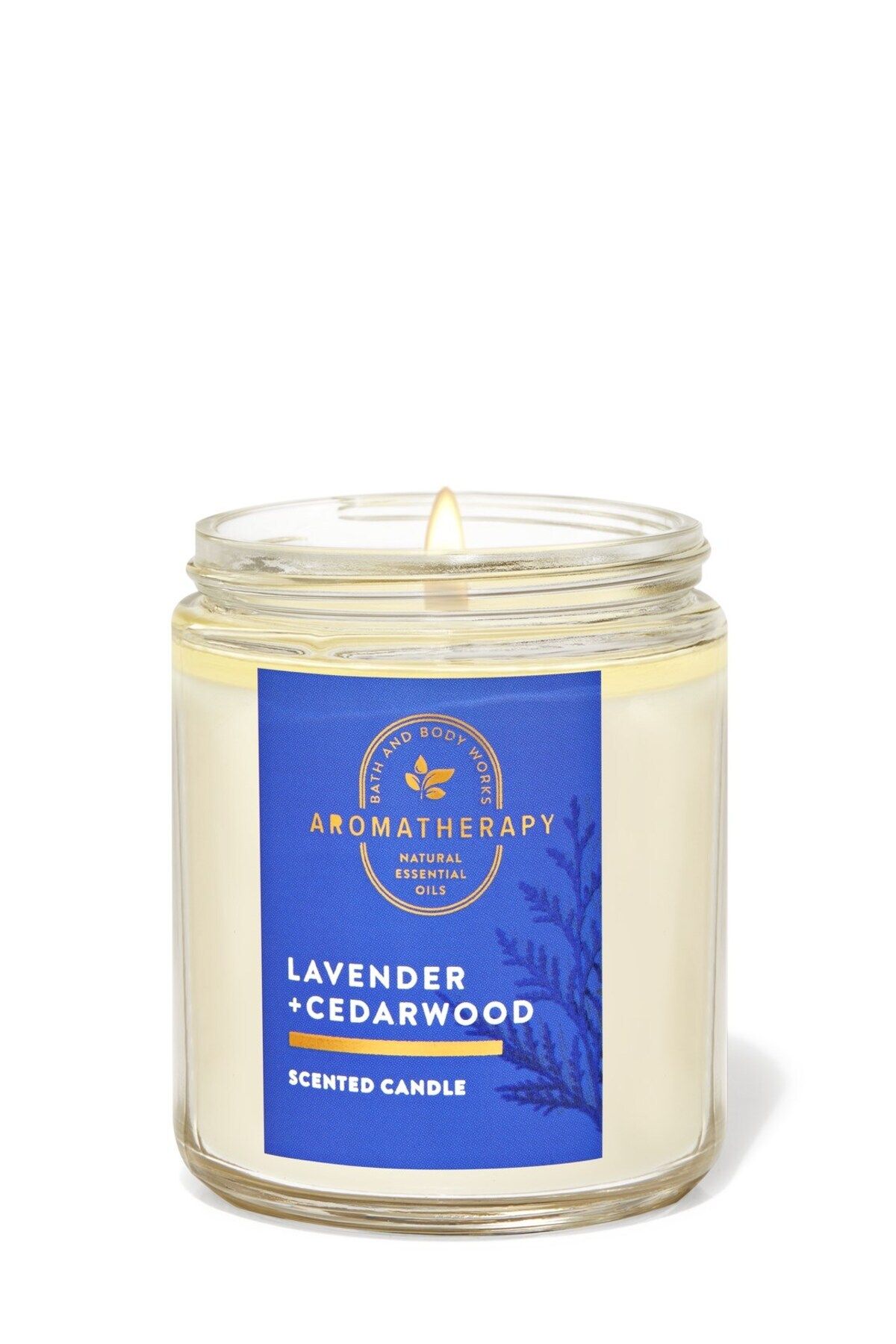 Bath & Body Works Lavender Cedarwood Orta Boy Mum