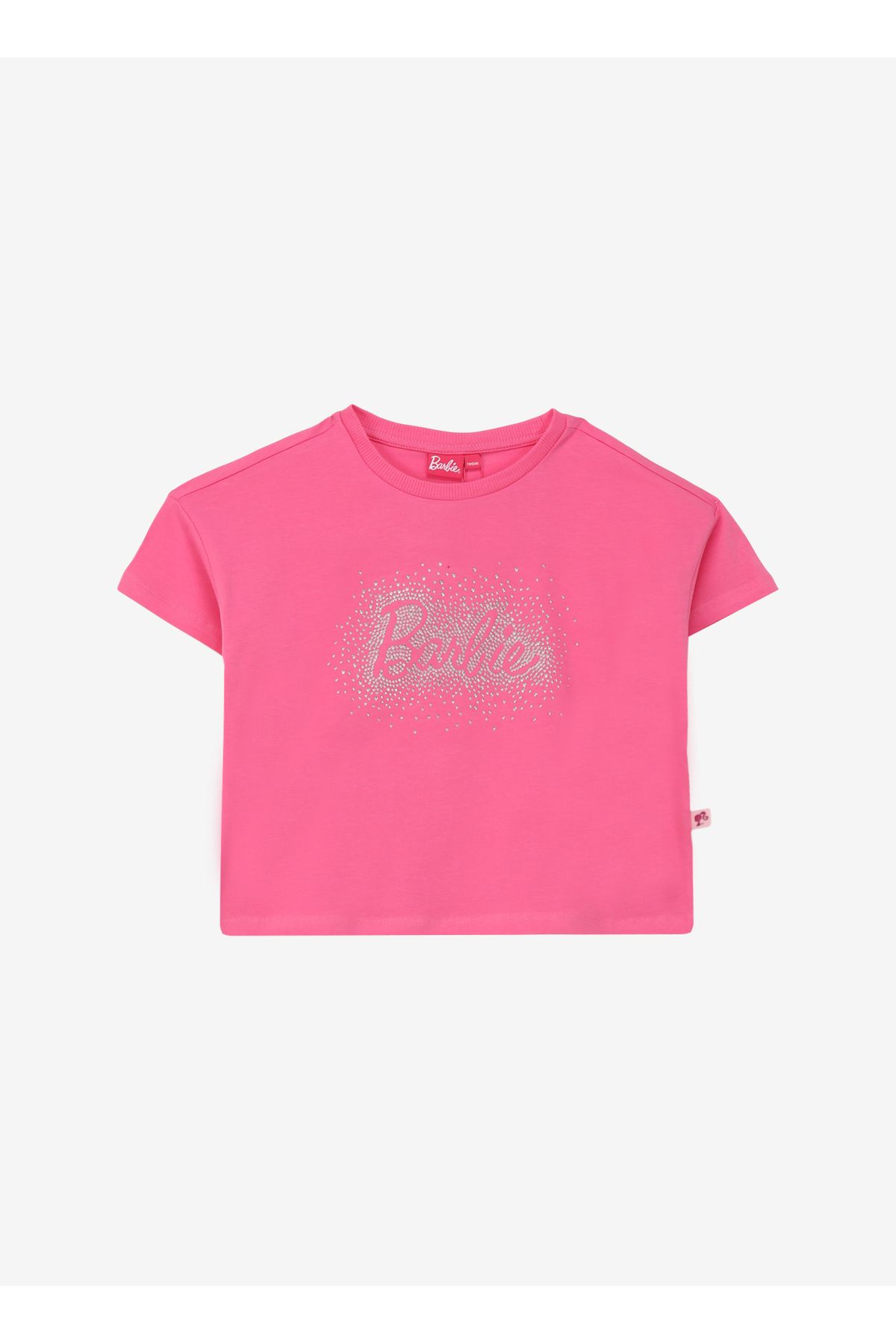 Barbie Taşlı Pembe Kadın T-Shirt BRB4SG-TST6004