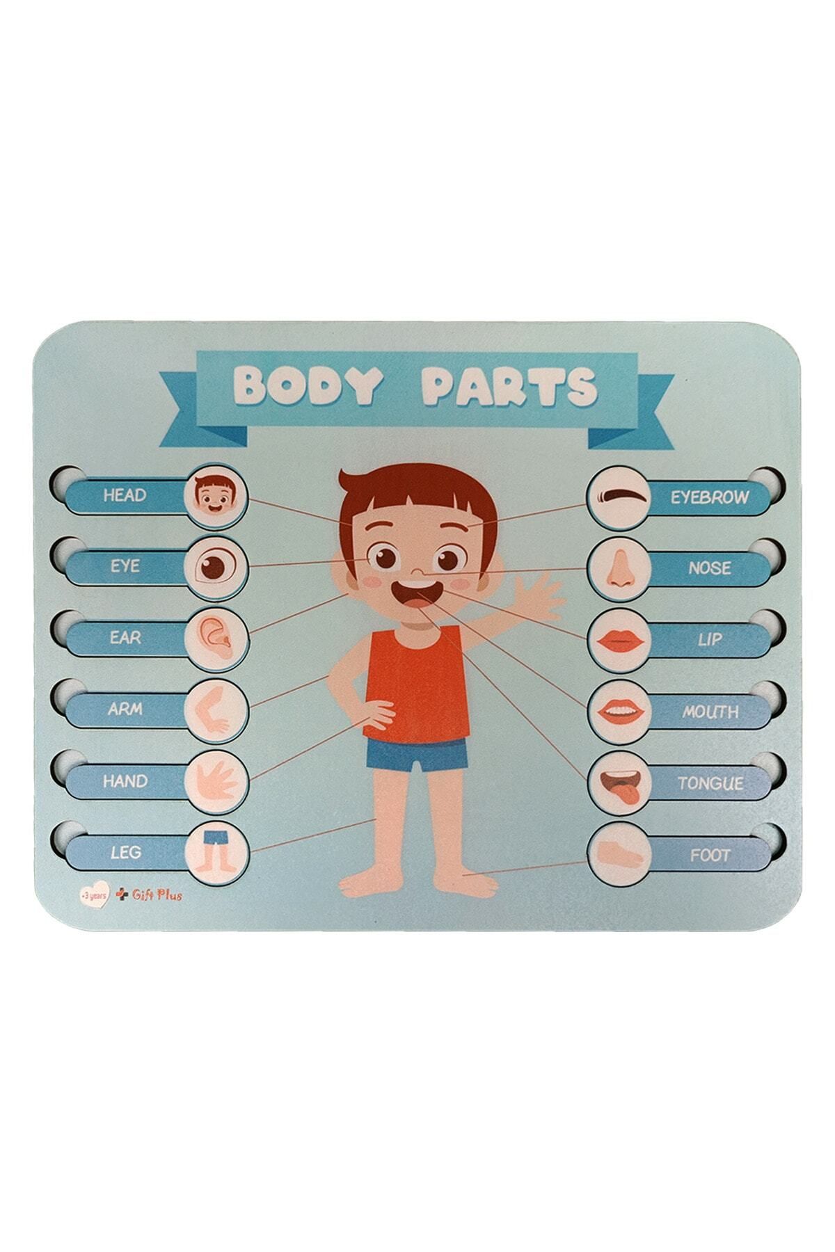 gift plus Ingilizce Erkek Vücut Parçaları Puzzle Yapboz Eğitici Oyuncak
