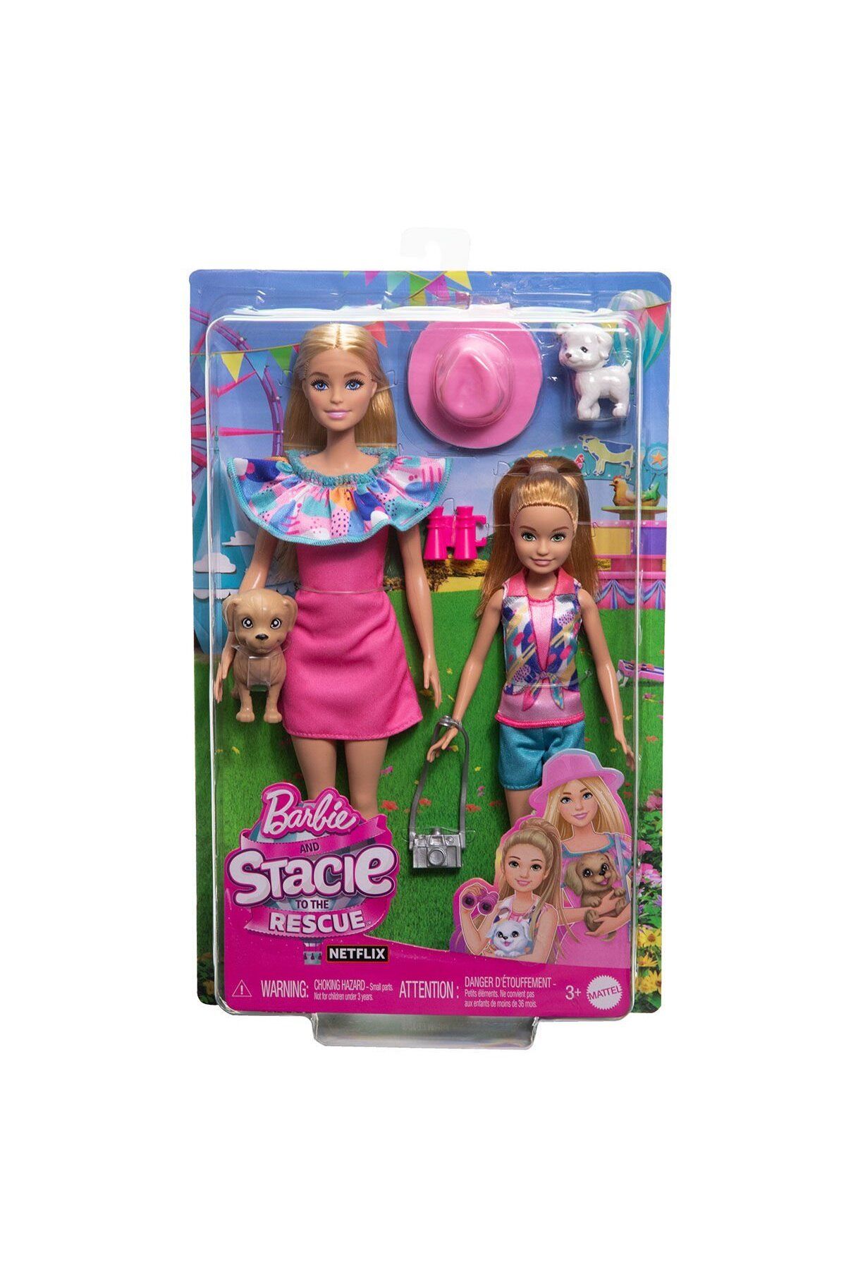 Barbie FABBATOYS Barbie ve Stacie Kız Kardeşler İkili Set - Barbie & Stacie To The Rescue