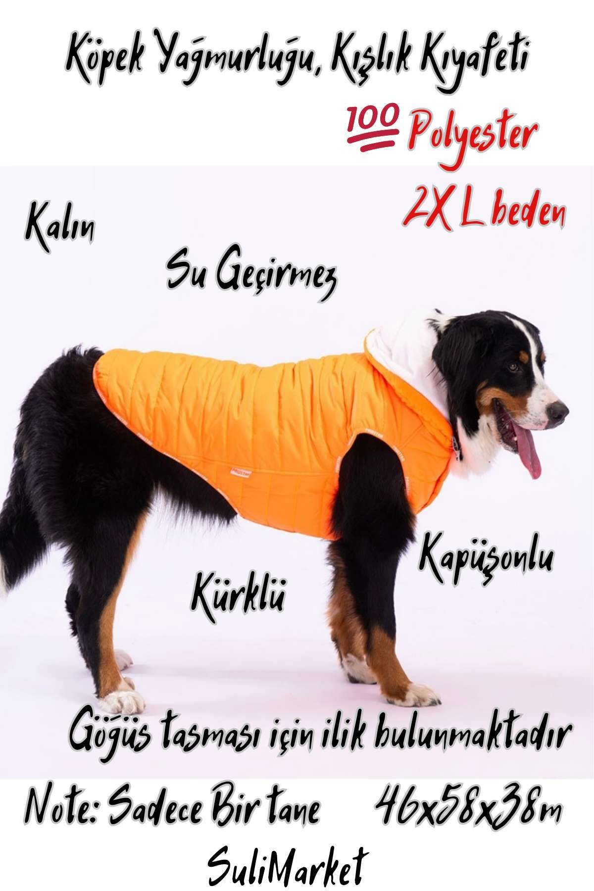 Pawstar Büyük Irk Köpek Yağmurluğu Köpek Yağmurluk ve Kışlık Kıyafeti
