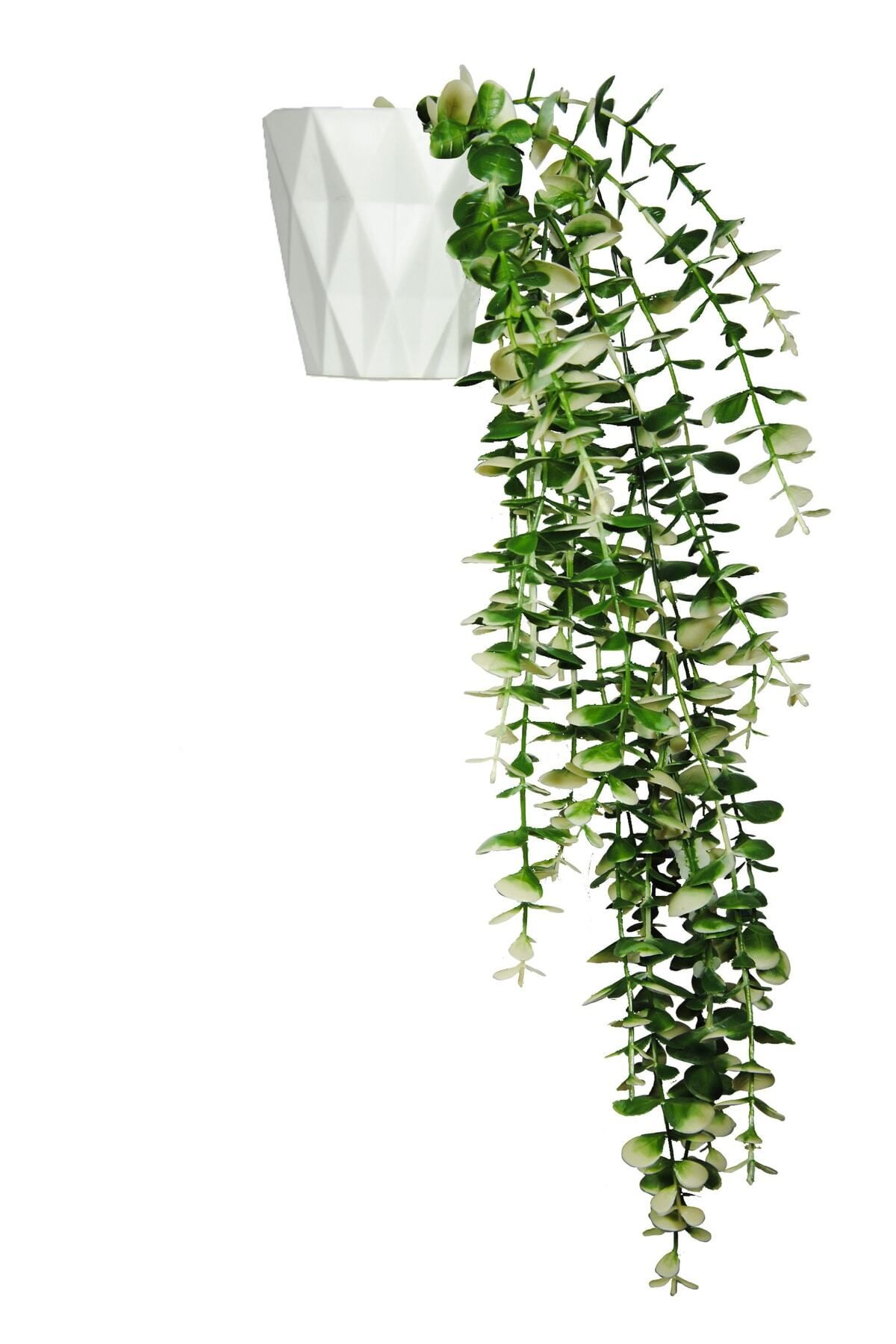 Lilac Home Özel Tasarım Iki Renkli Elmas Beyaz Saksılı Saksılı Beyaz - Yeşil Okaliptus Sarkıtı