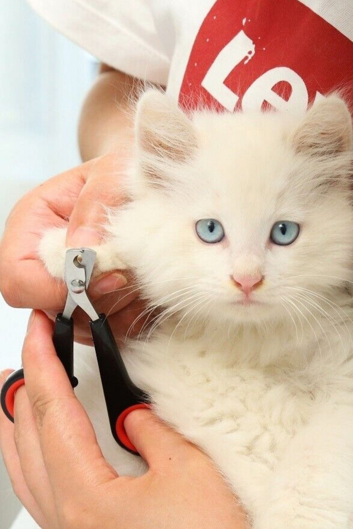 Benefse Orta Boy Kedi Ve Küçük Irk Köpek Tırnak Makası Yeni Model Pet Manikür Alet Bakımı