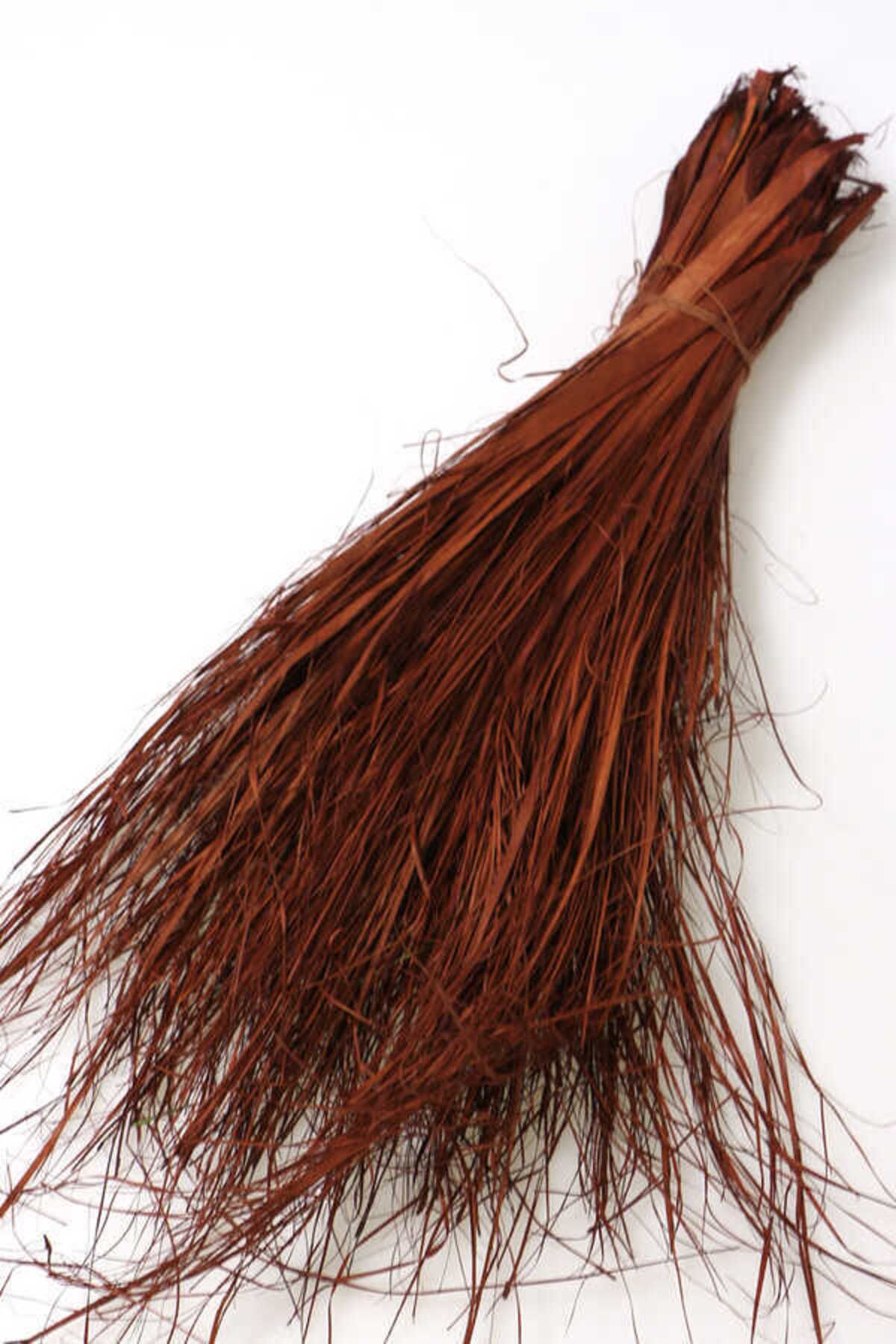 Yapay Çiçek Deposu Tropic Strip Grass Şerit Kurutulmuş Çimen Demeti 40cm Kızıl-Kahve