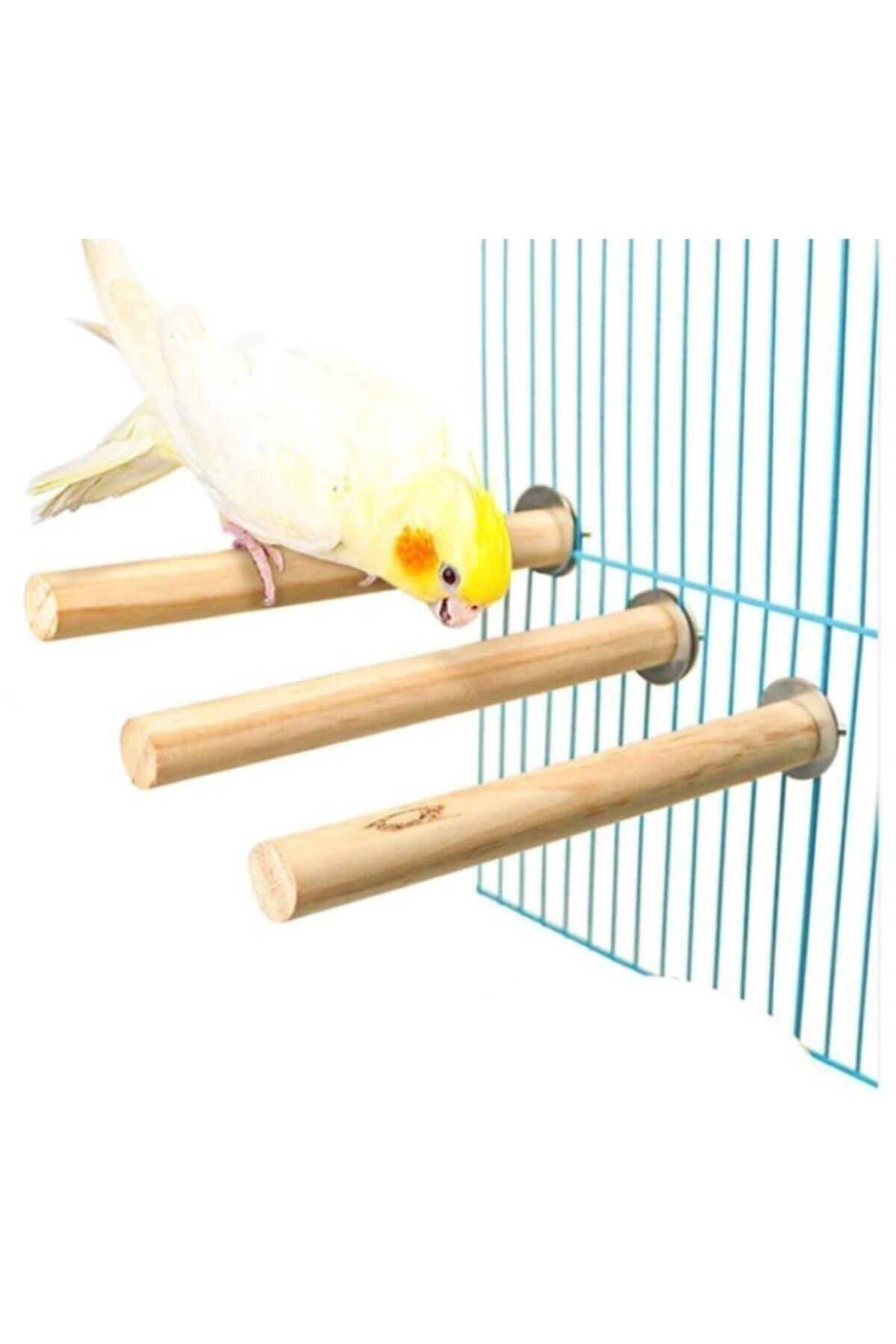 UniqBirdToys Trendme Papağan Kuş Tüneği 30 Cm ( Kalın)
