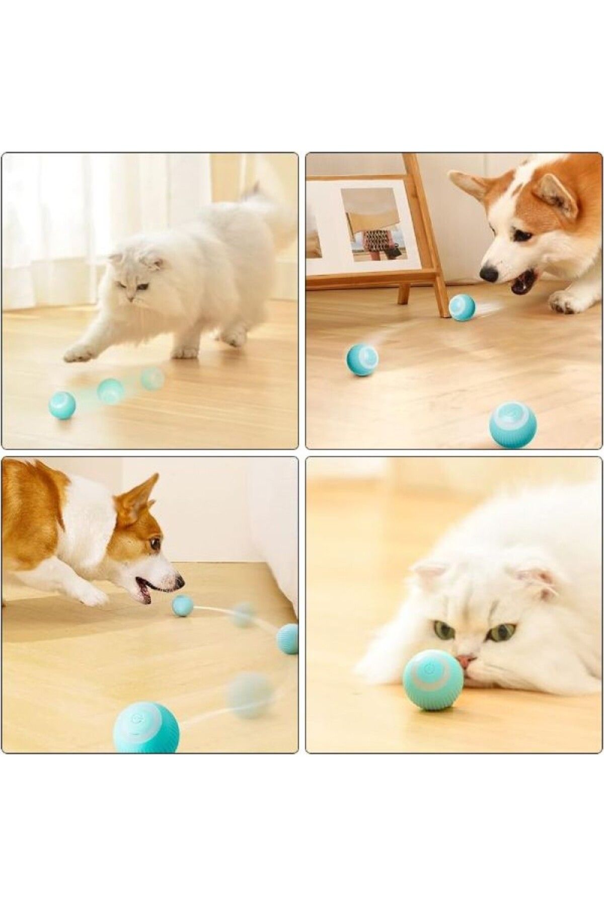 Özel Üretim Yumuşak Gün Boyu Meşgul Edici Fit Zihinsel Sağlık İnteraktif Kedi Köpek Şarjlı Oyun Topu_5