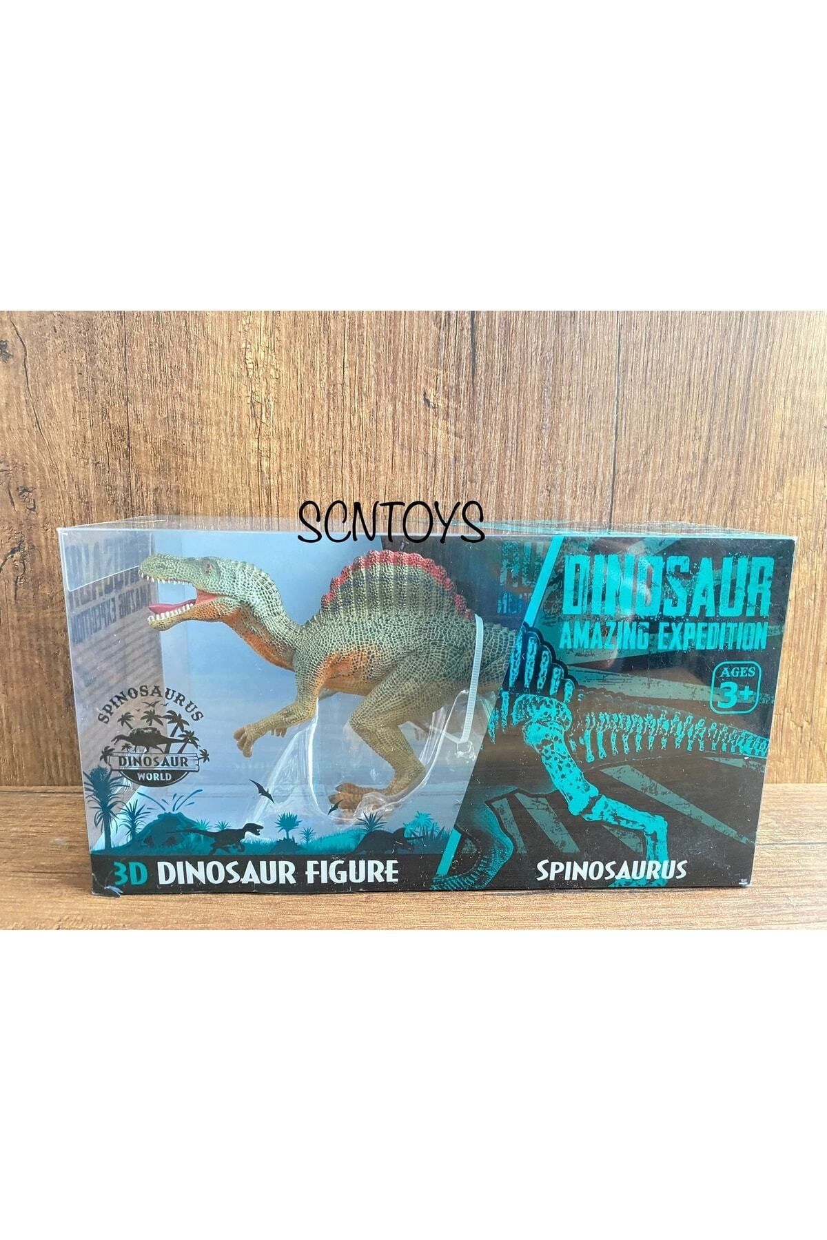 scntoys Yarı Iskelet Spinosaurus Seti Dınosaur Amazıng Expedıtıon Spınosaurus Oyuncak Dinazor