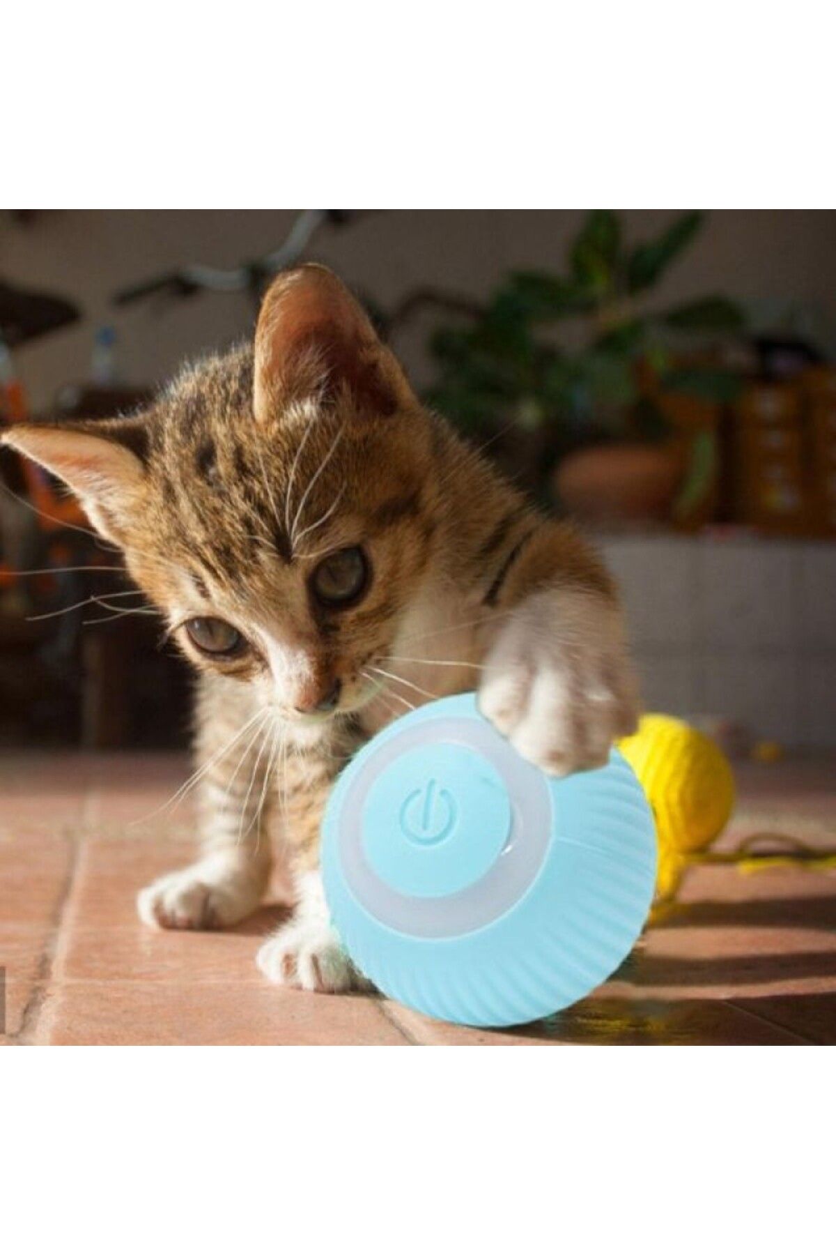 Özel Üretim Yumuşak Gün Boyu Meşgul Edici Fit Zihinsel Sağlık İnteraktif Kedi Köpek Şarjlı Oyun Topu_3