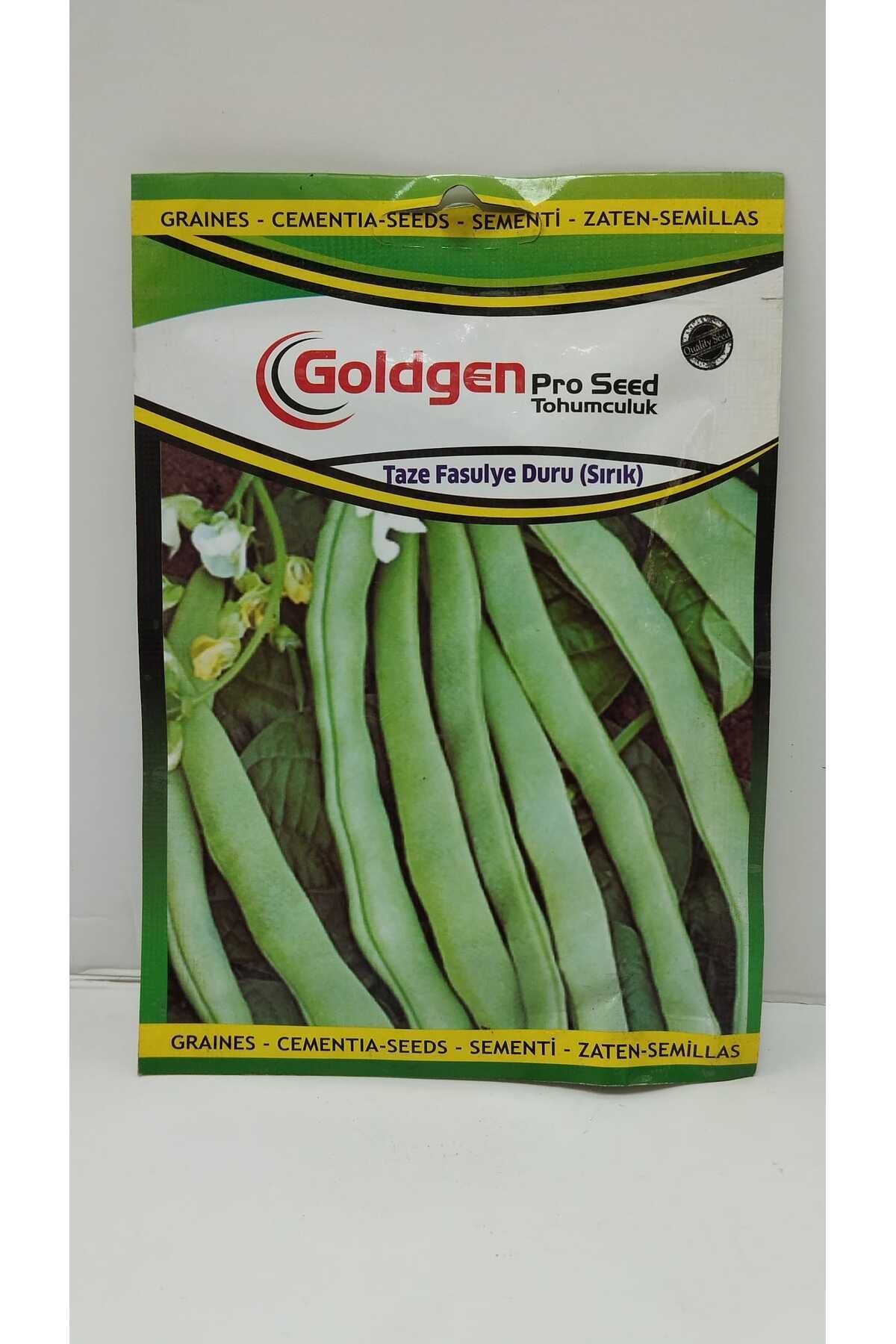 Goldgen Pro Seed Taze Fasulye Duru(Sırık) Tohumu