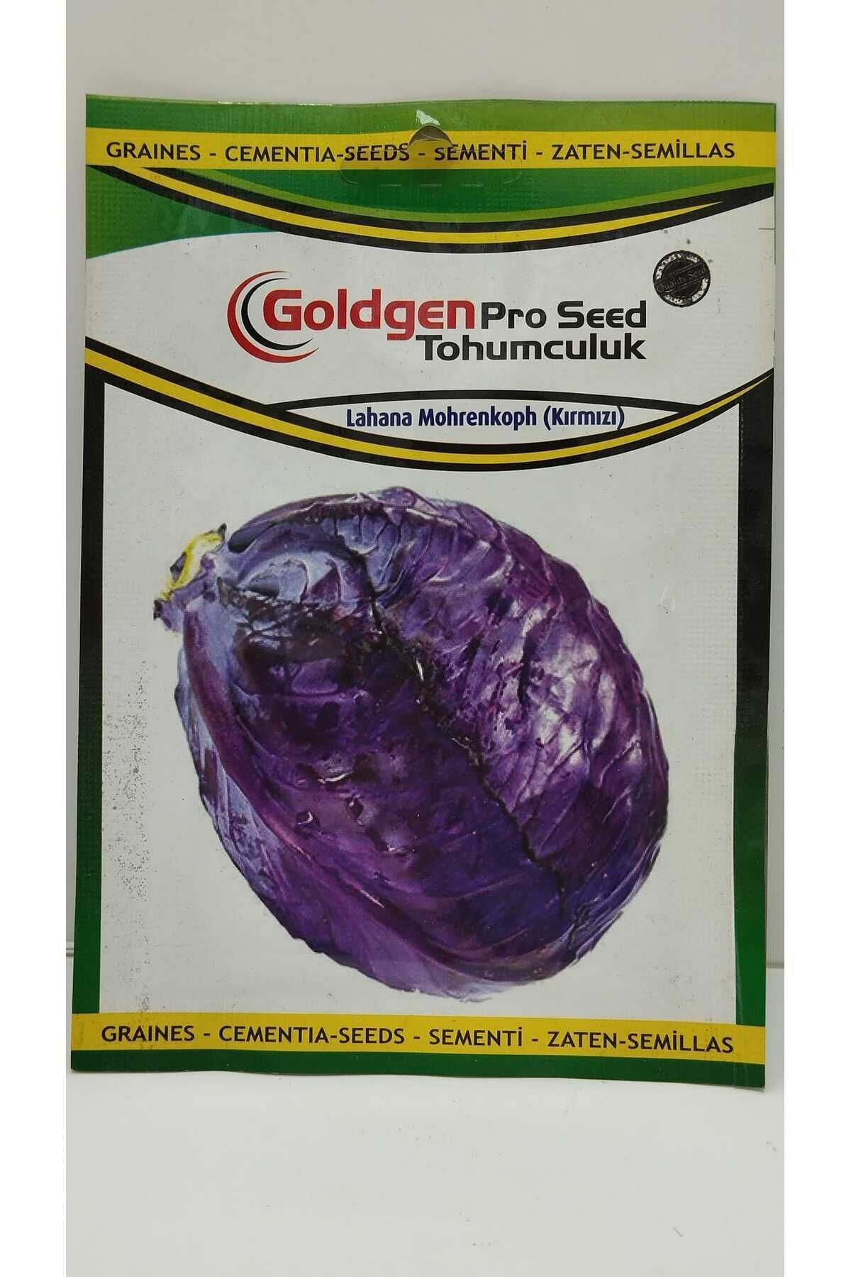 Goldgen Pro Seed Kırmızı Lahana Tohumu