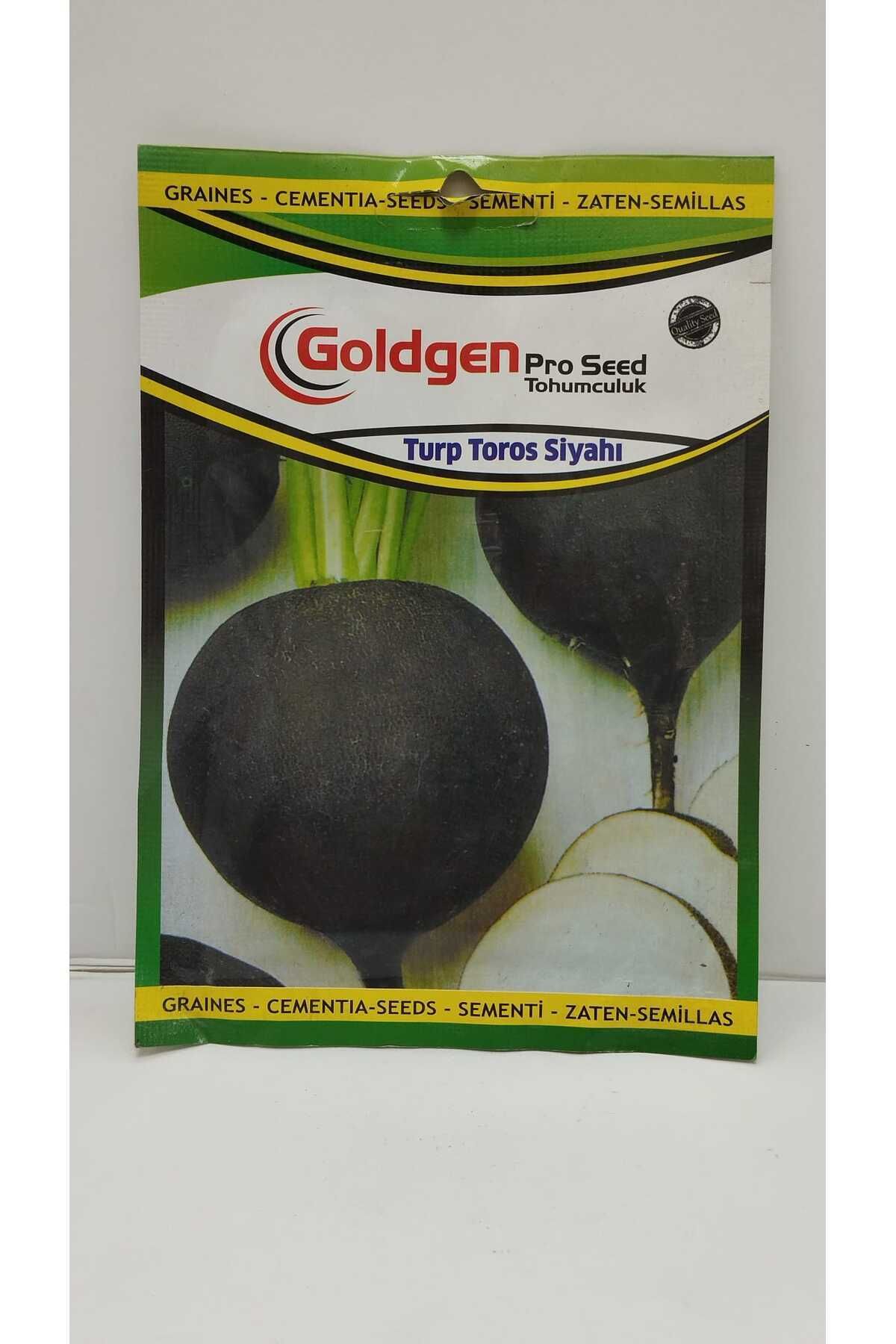 Goldgen Pro Seed Siyah Turp Tohumu
