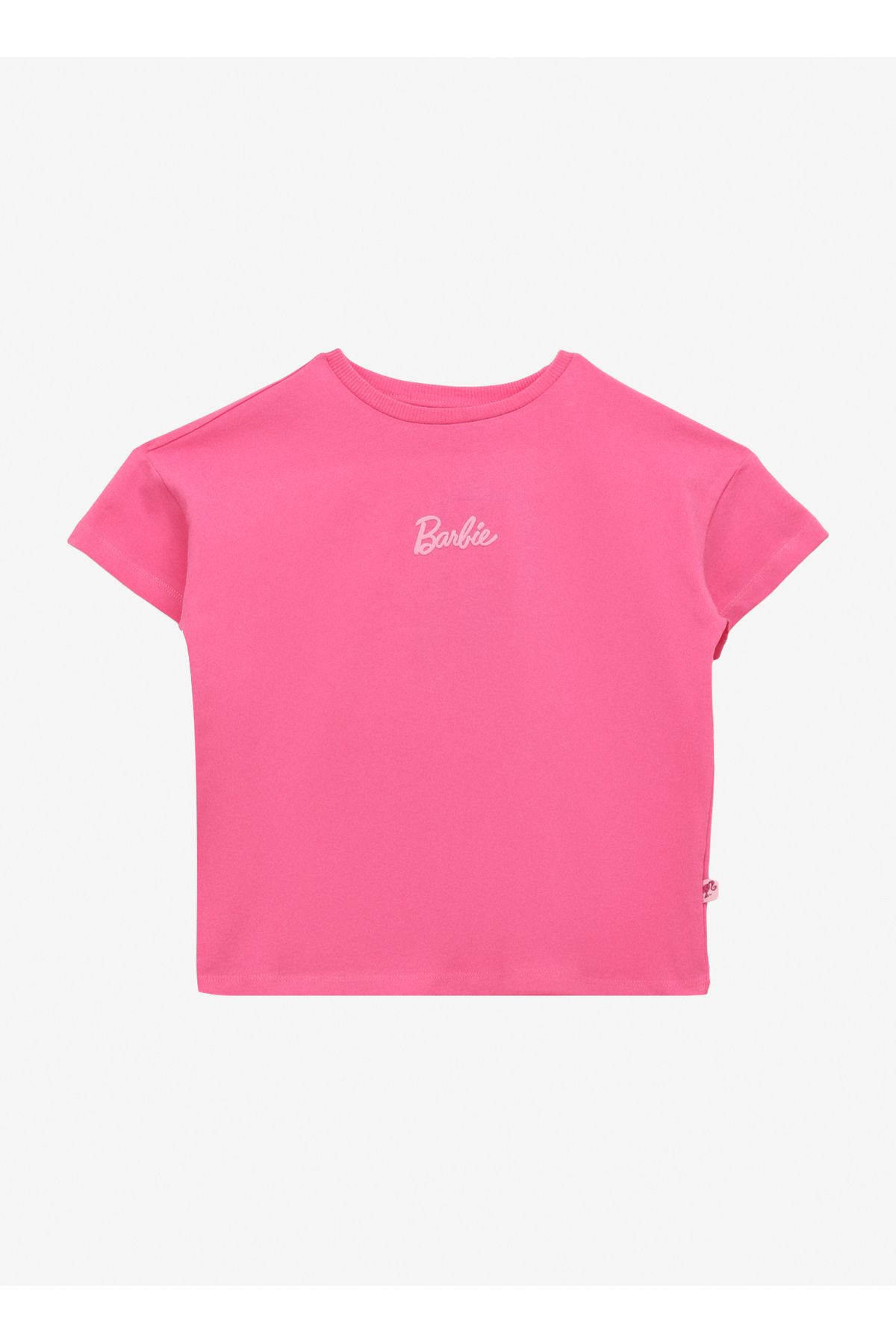 Barbie Baskılı Pembe Kız Çocuk T-Shirt BRB4SG-TST6009