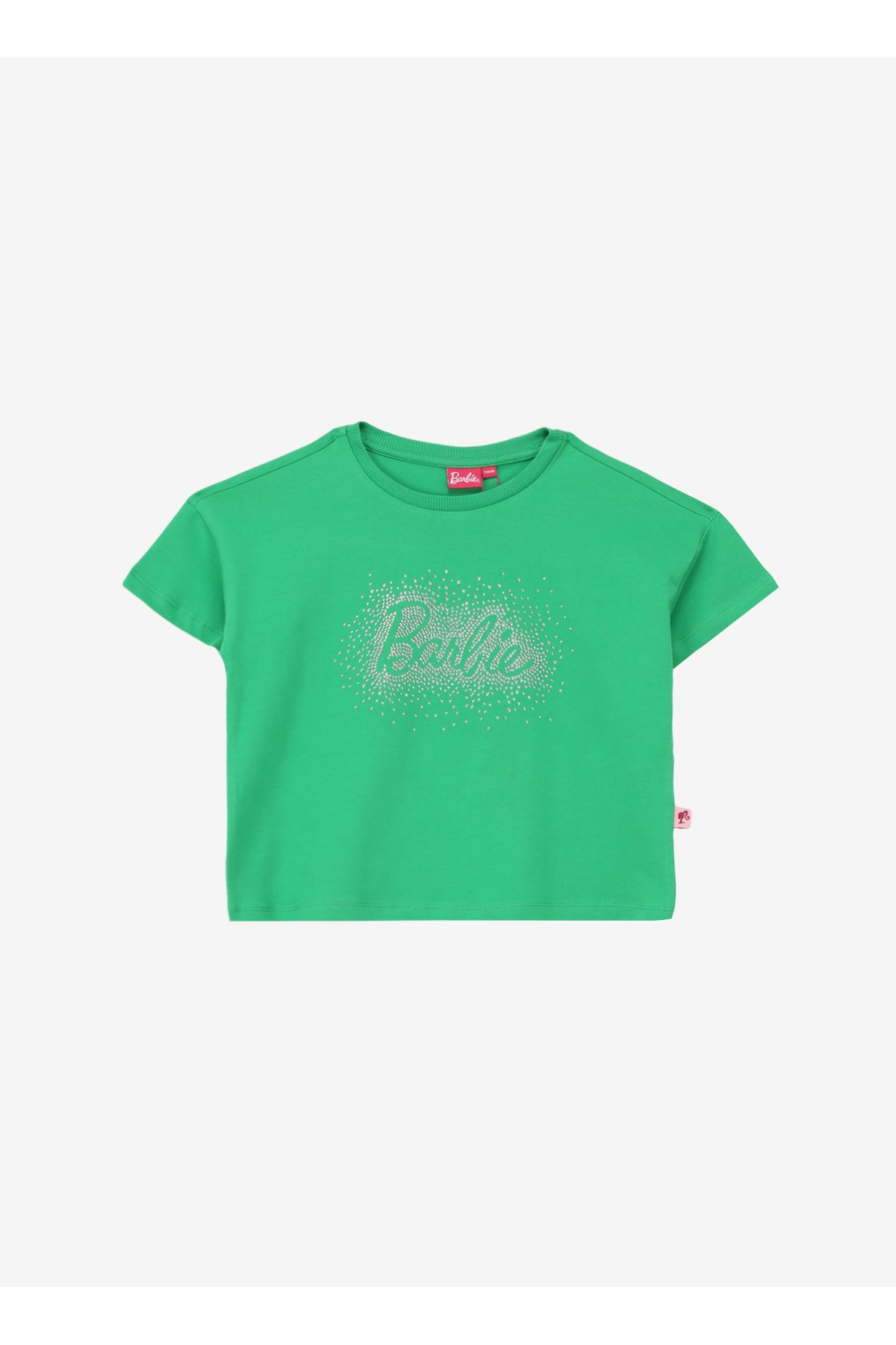 Barbie Taşlı Yeşil Kız Çocuk T-Shirt BRB4SG-TST6004
