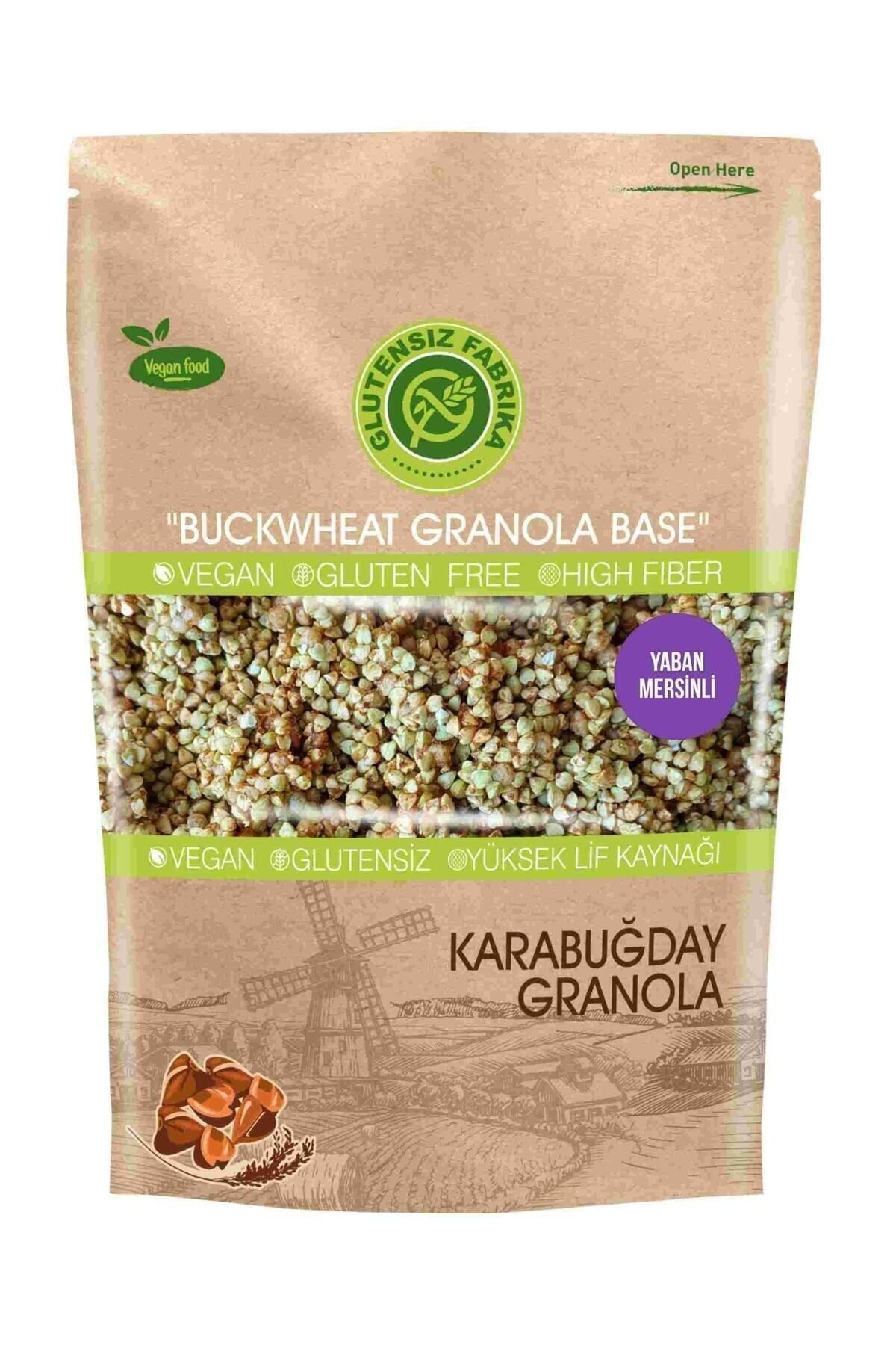 GLUTENSİZ FABRİKA Yulaf & Karabuğday Granola 300 Gram (yabanmersinli)