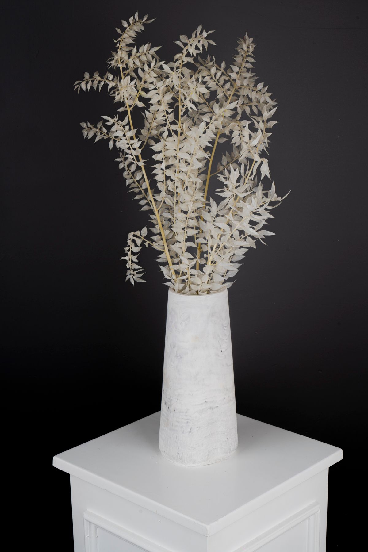Kuru Çiçek Deposu Şoklanmış Beyaz Kokina Demeti 50 cm , 4 dallı demet - Kuru çiçek - İtalian Ruscus