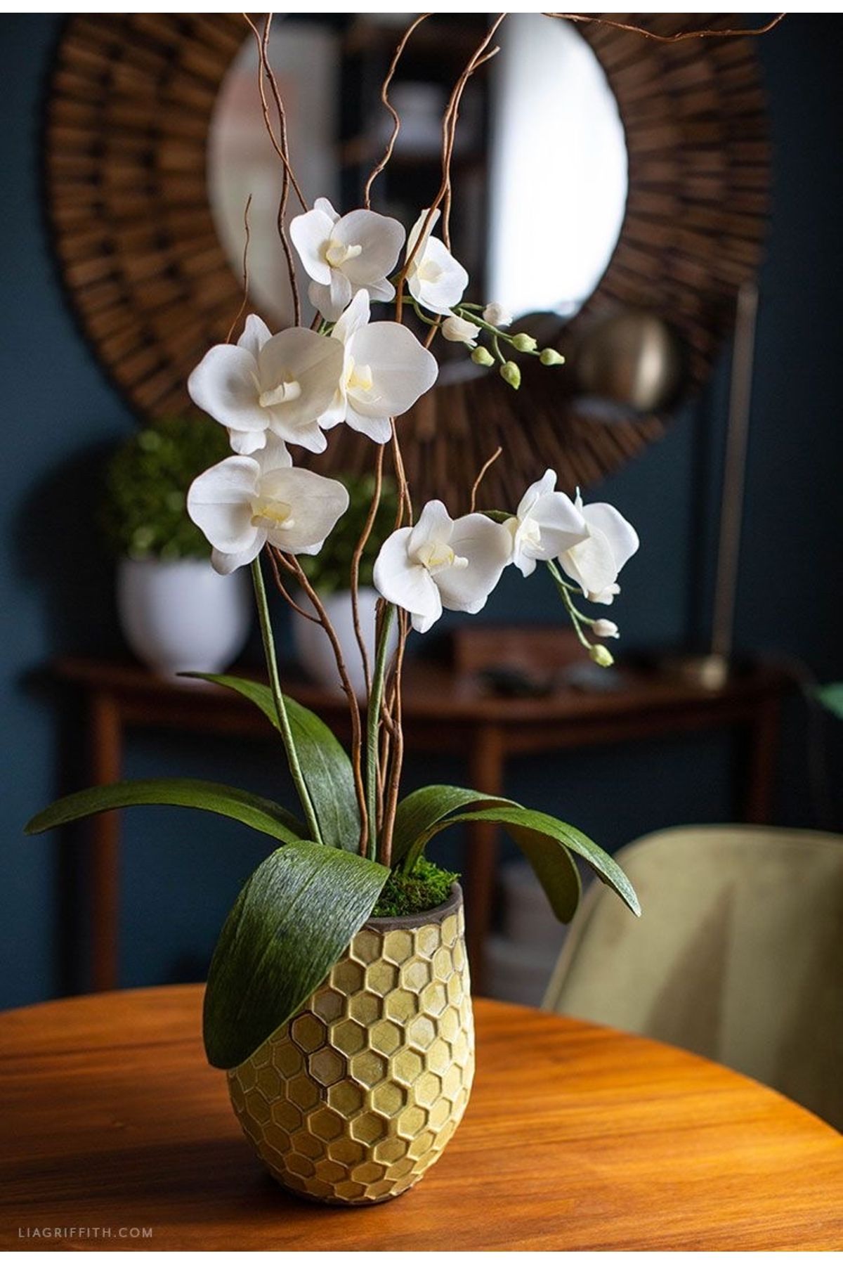 Su Plant İthal Mini Orkide