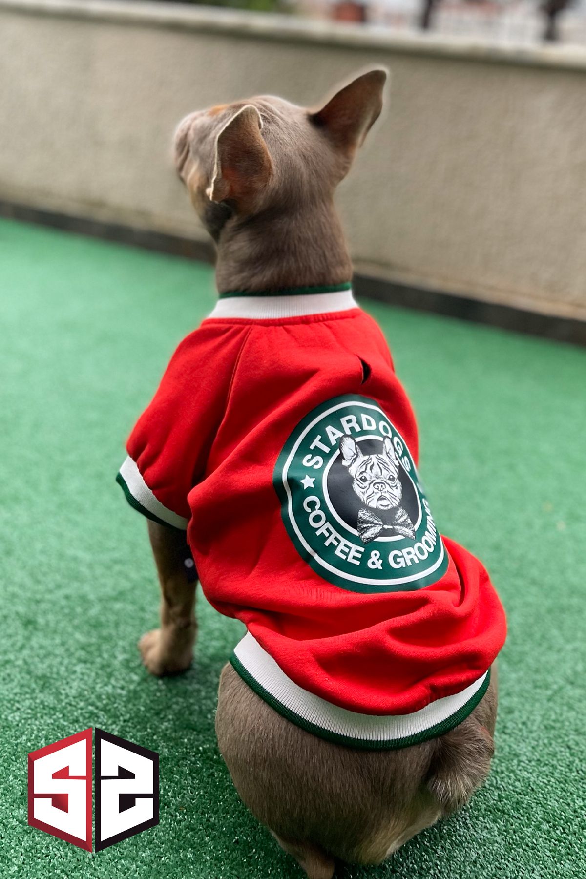 salya store Stardogs College Ceket ( Köpek Kıyafeti Köpek Ceketi)