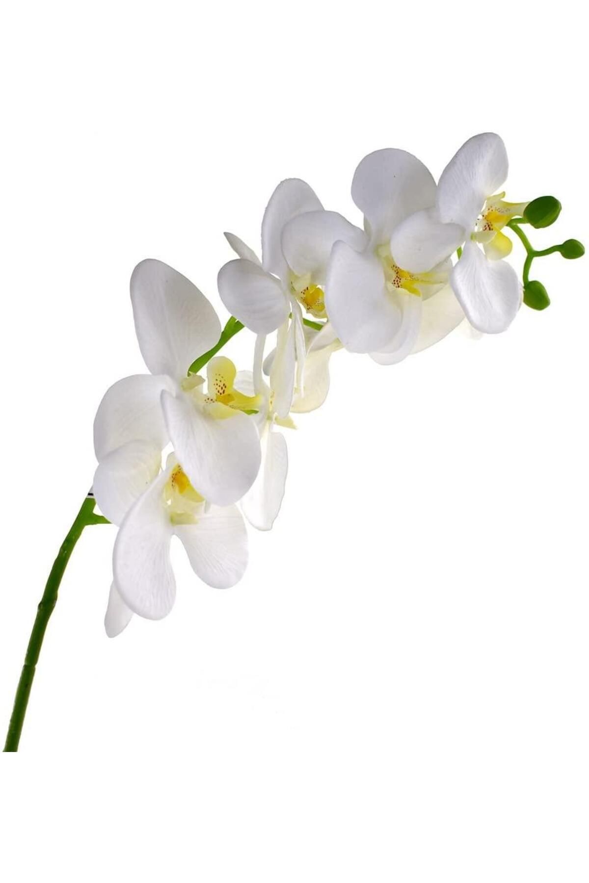 Nettenevime Yapay Çiçek Beyaz Islak Orkide Uzun Dal 90 Cm Orkide
